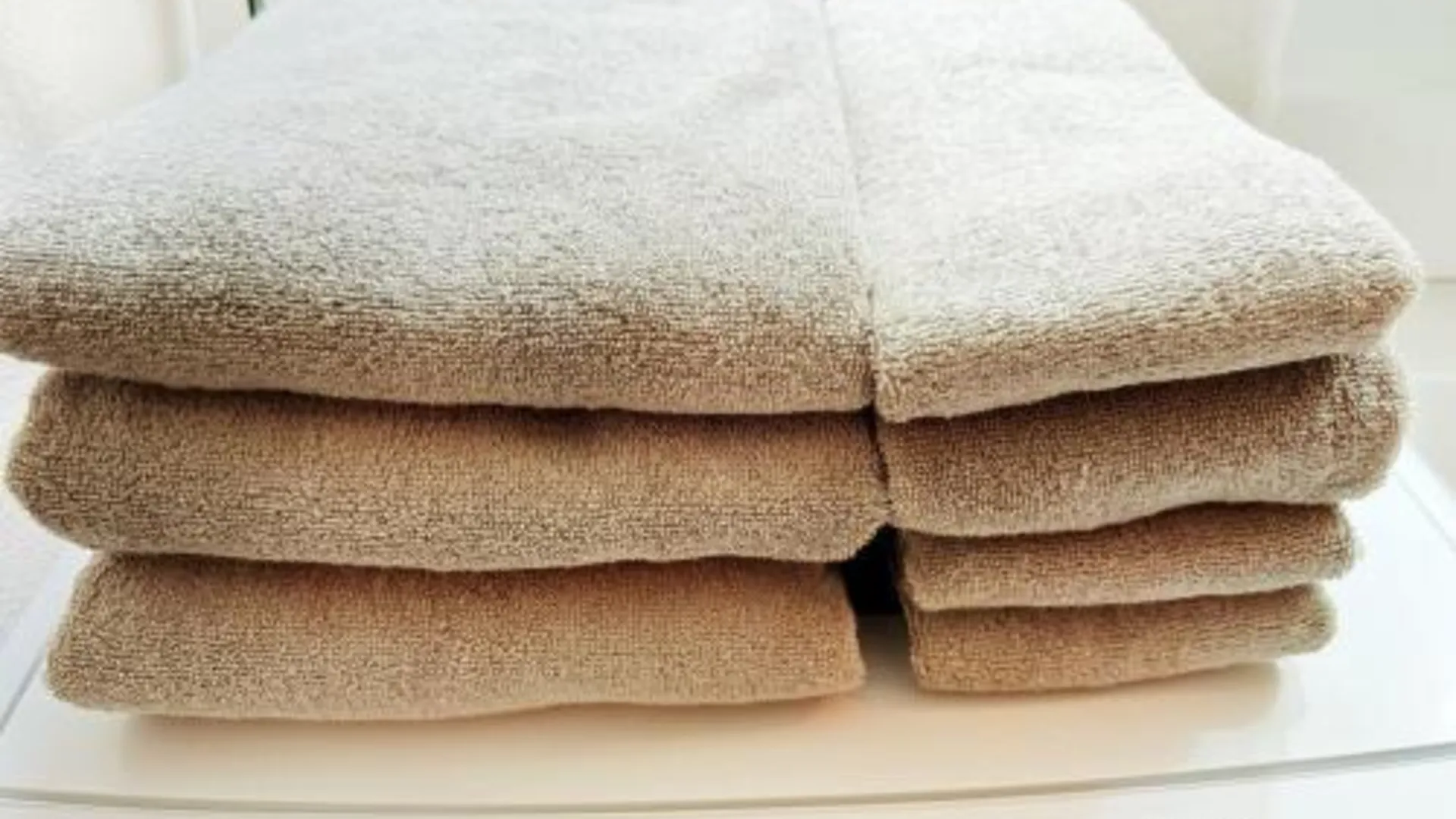 후쿠오카 カトレア天神南102 2성급 싱글룸 부대시설