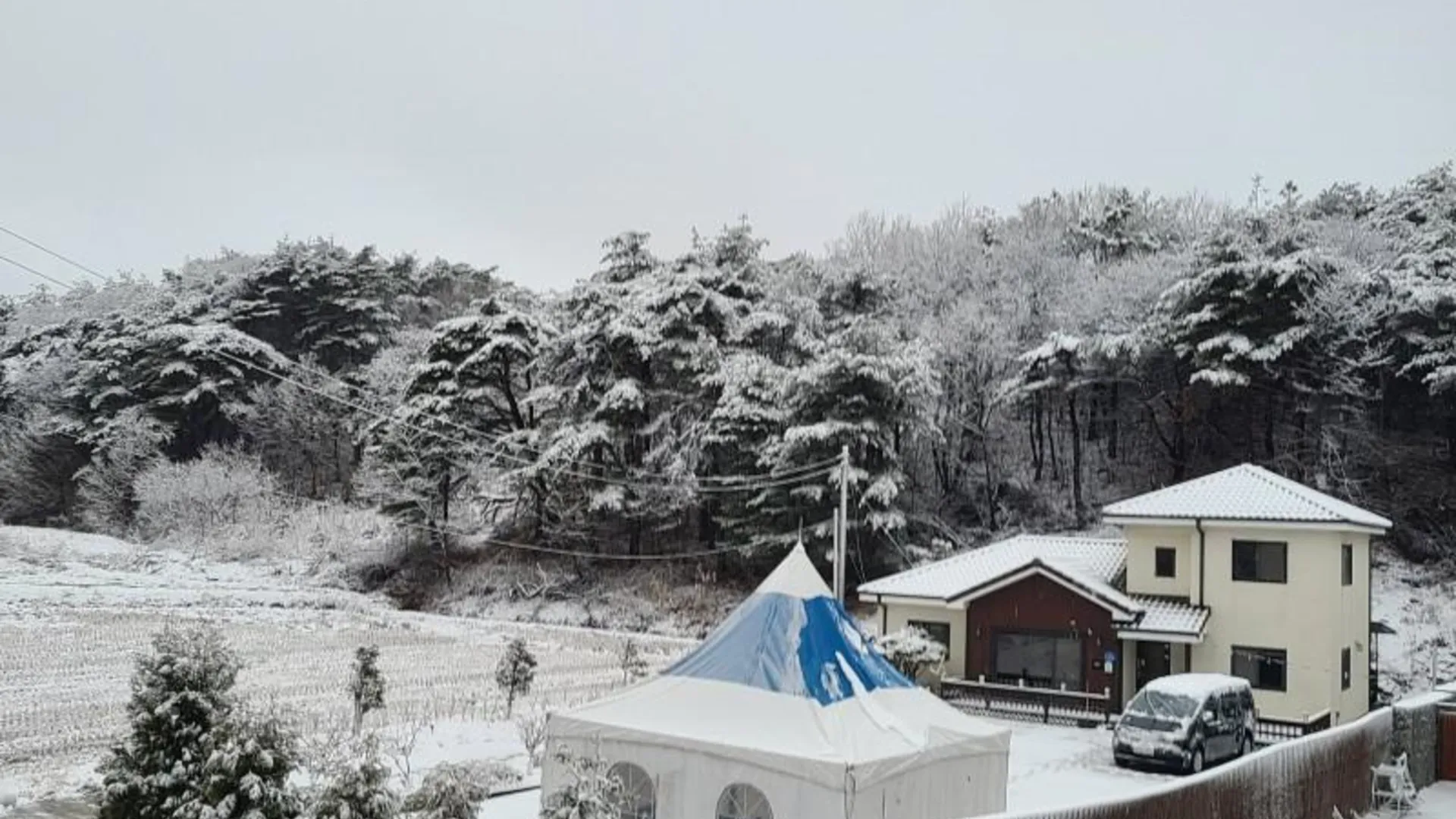 양양 양양 스테이해담은펜션 1성급 싱글룸 객실