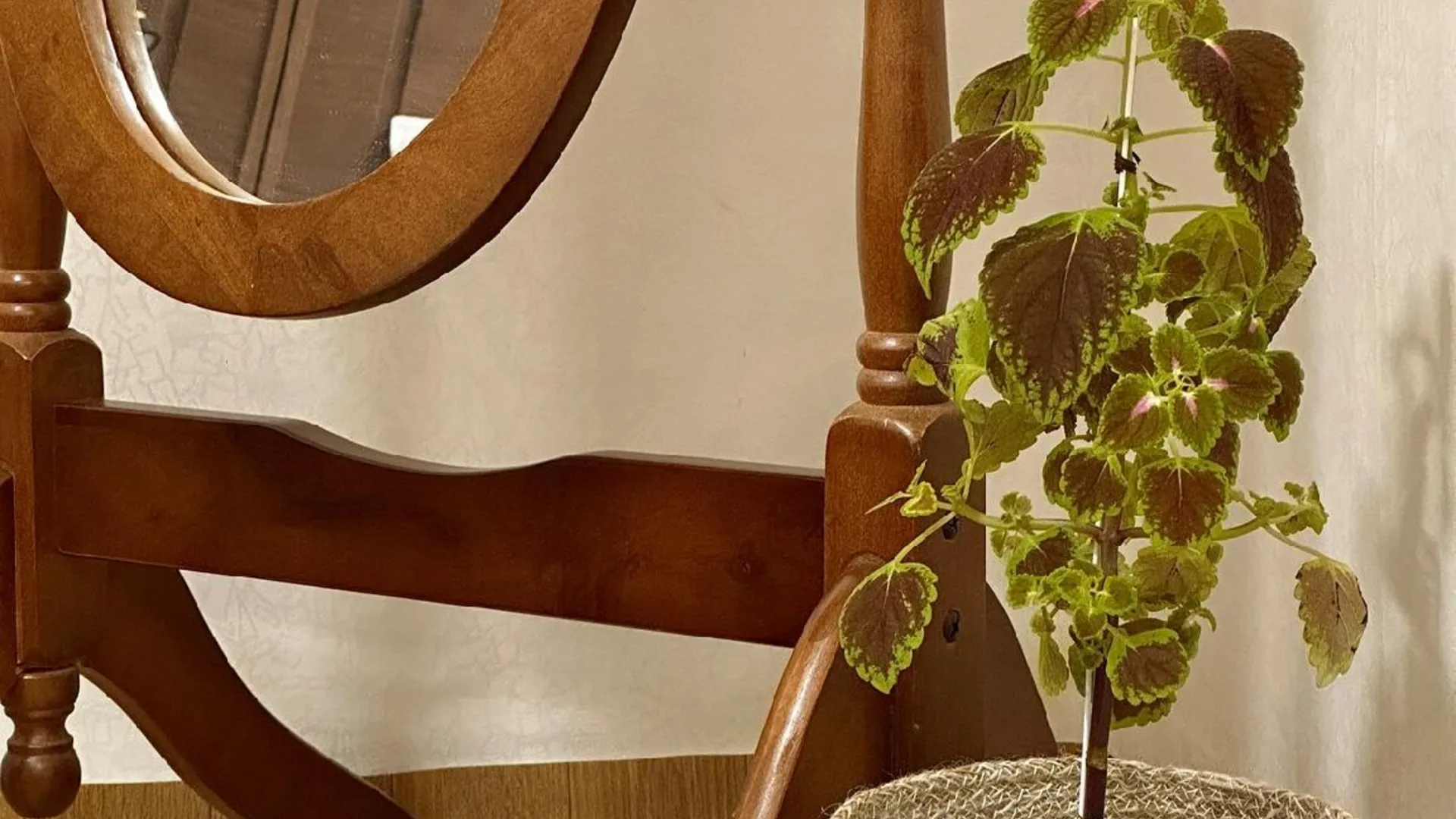 울산 중구의 아파트먼트 (m², 침실 2개, 프라이빗 욕실 1개) 3성급 싱글룸 전망