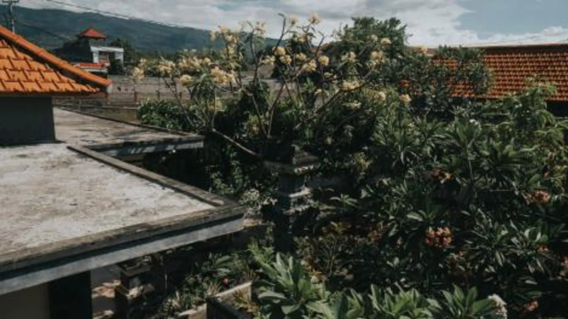 발리 Kelana Guest House 3성급 호텔 레스토랑