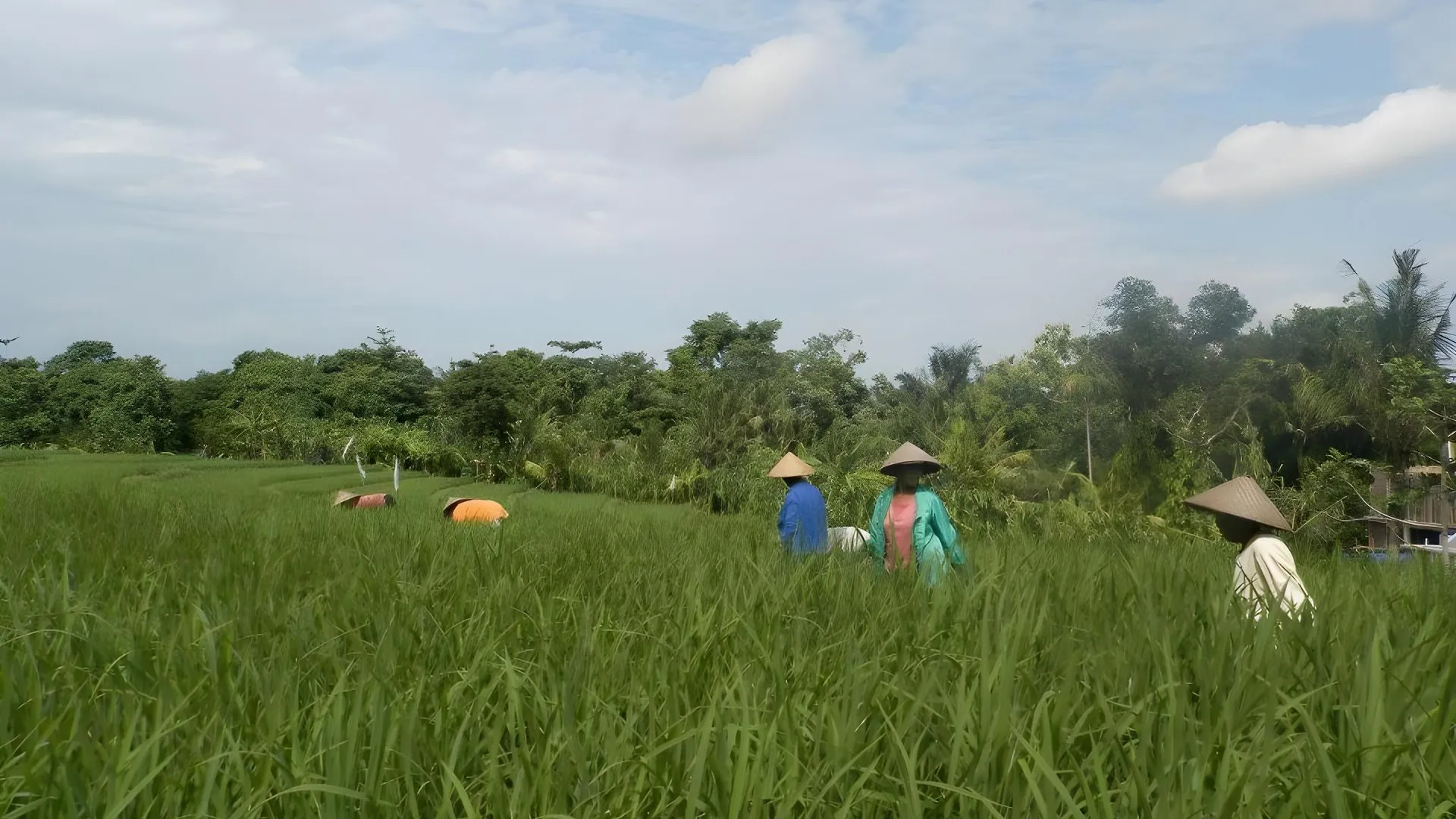 발리 스미냑의 빌라 (100m², 침실 1개, 프라이빗 욕실 1개) 3성급 싱글룸 수영장