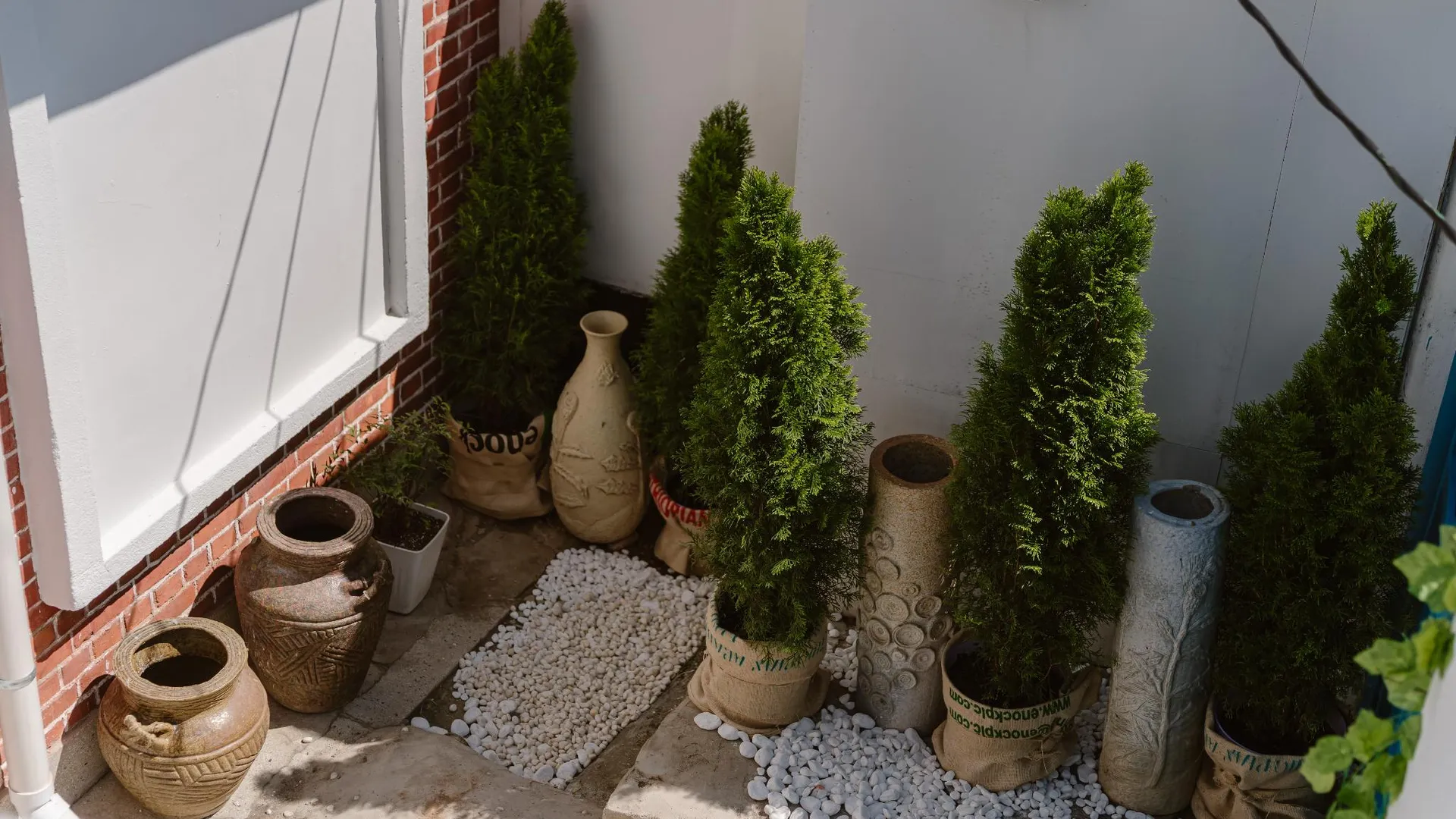 전주 전주 봄날 1성급 싱글룸 스위트룸