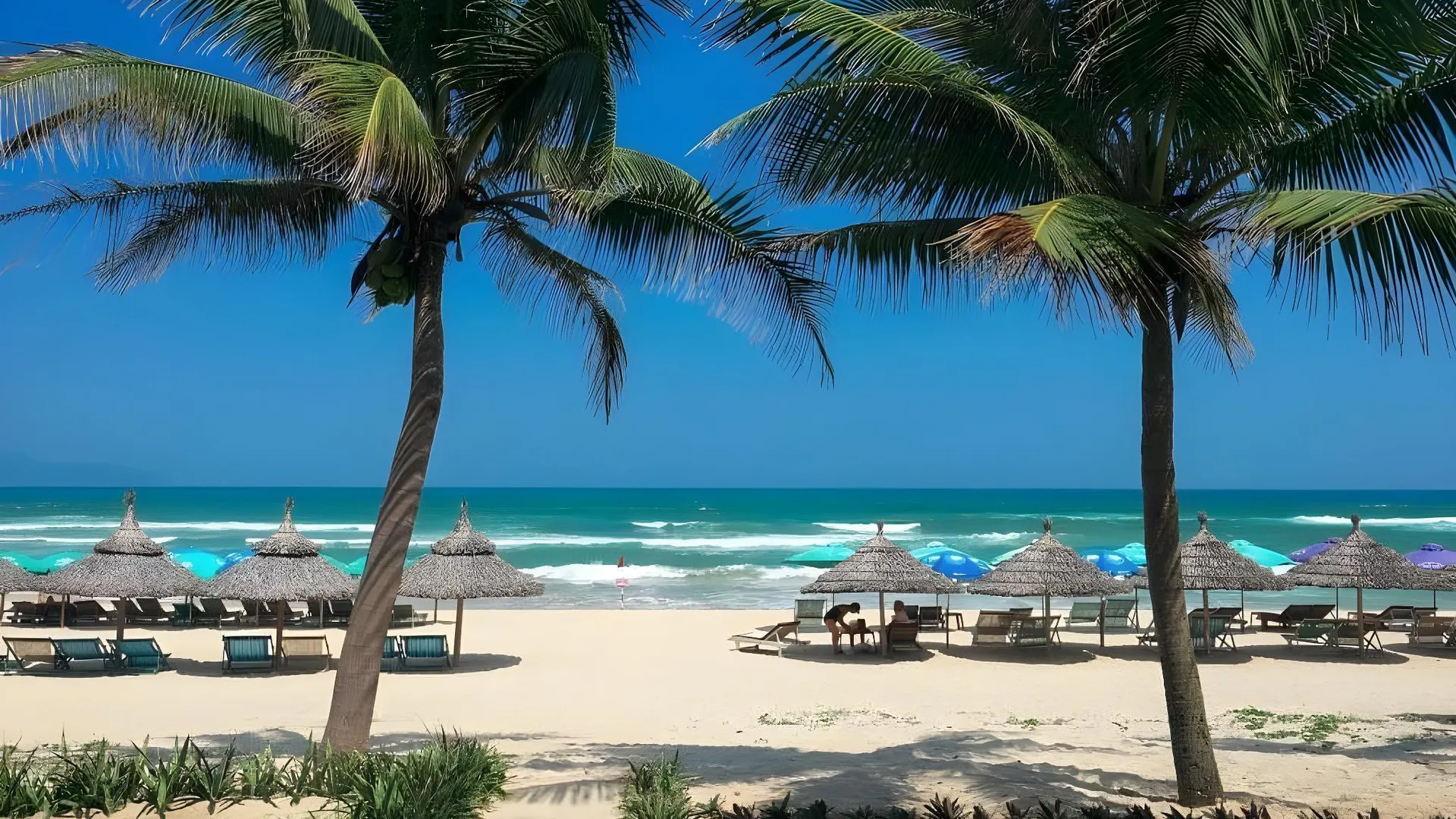 다낭 프억 미의 아파트먼트 (100m², 침실 3개, 프라이빗 욕실 2개) 3성급 싱글룸 레스토랑