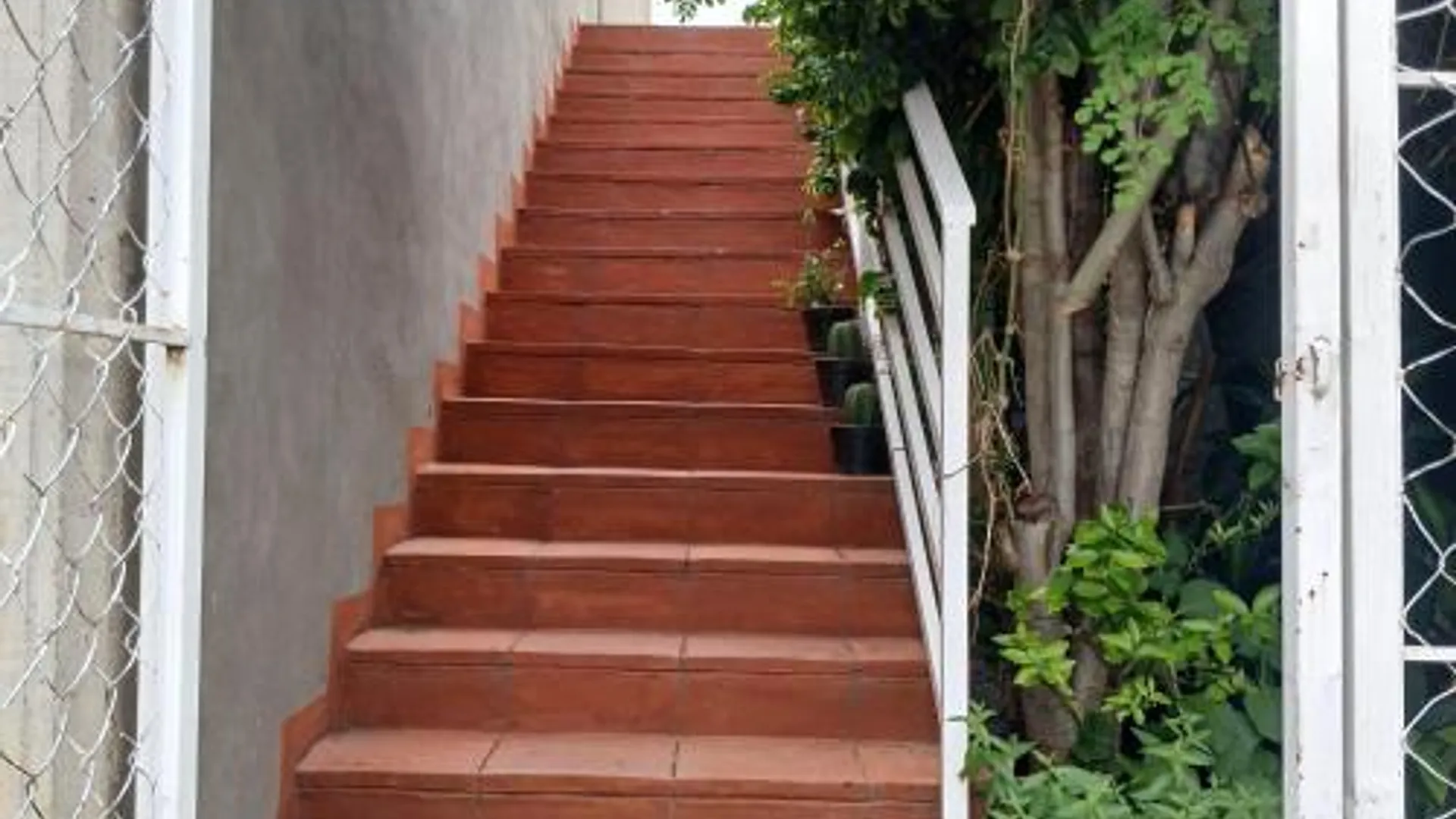 오악사카 The Magic 3성급 싱글룸 전망