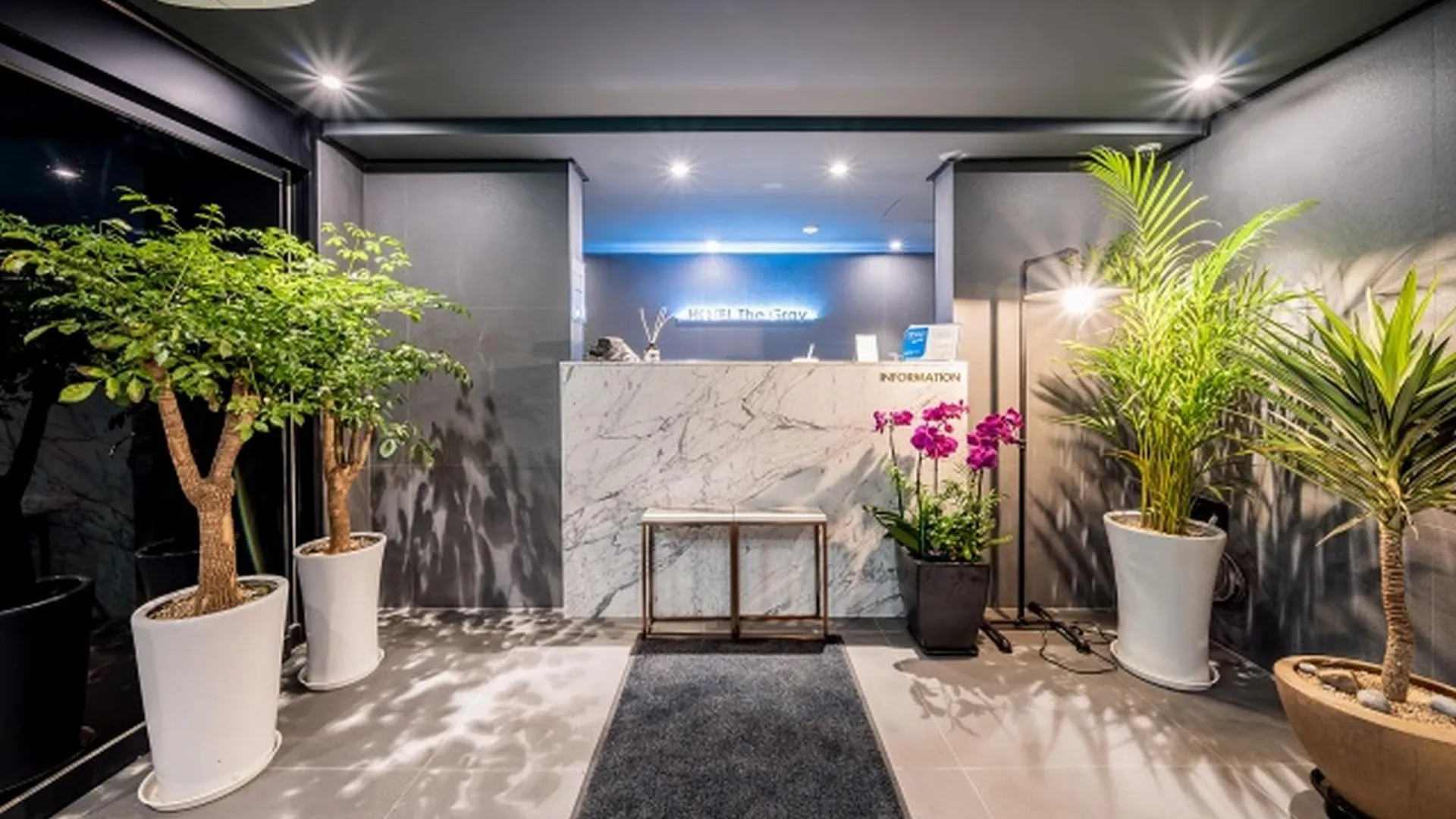 서울 홍대 더 그레이 호텔 호텔 로비