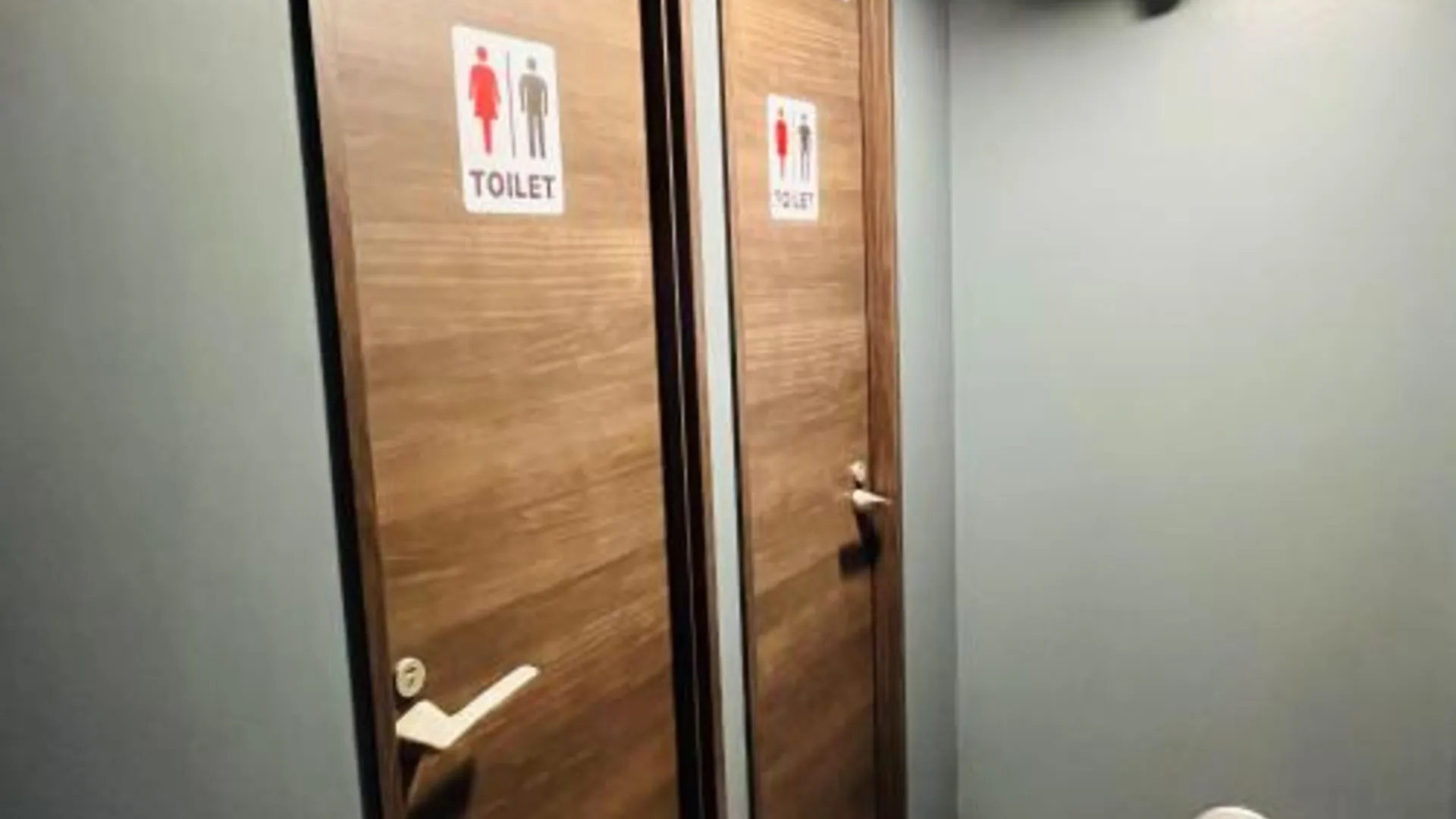 도쿄 / 동경 히노데 가구라자카 에키마에 호텔 4성급 호텔 객실