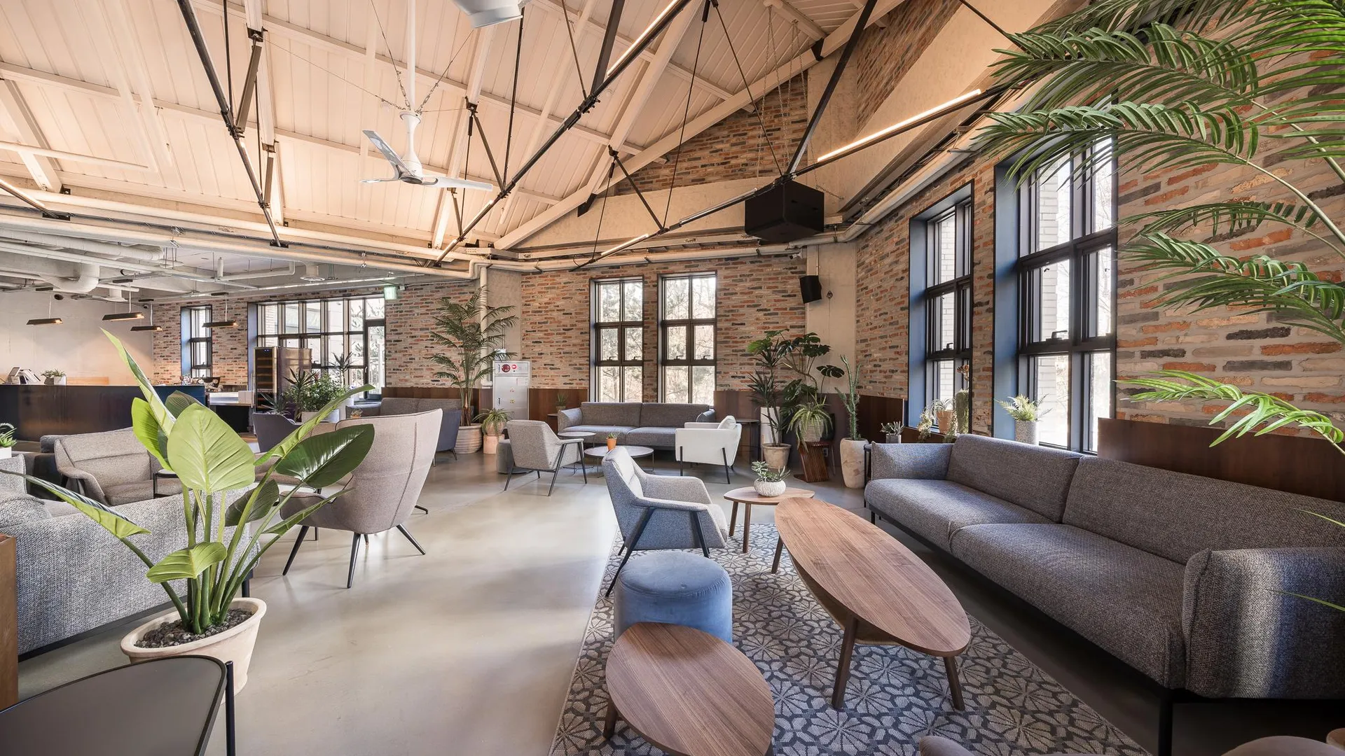 서울 주니비노 호텔 홍대 3성급 호텔 스위트룸