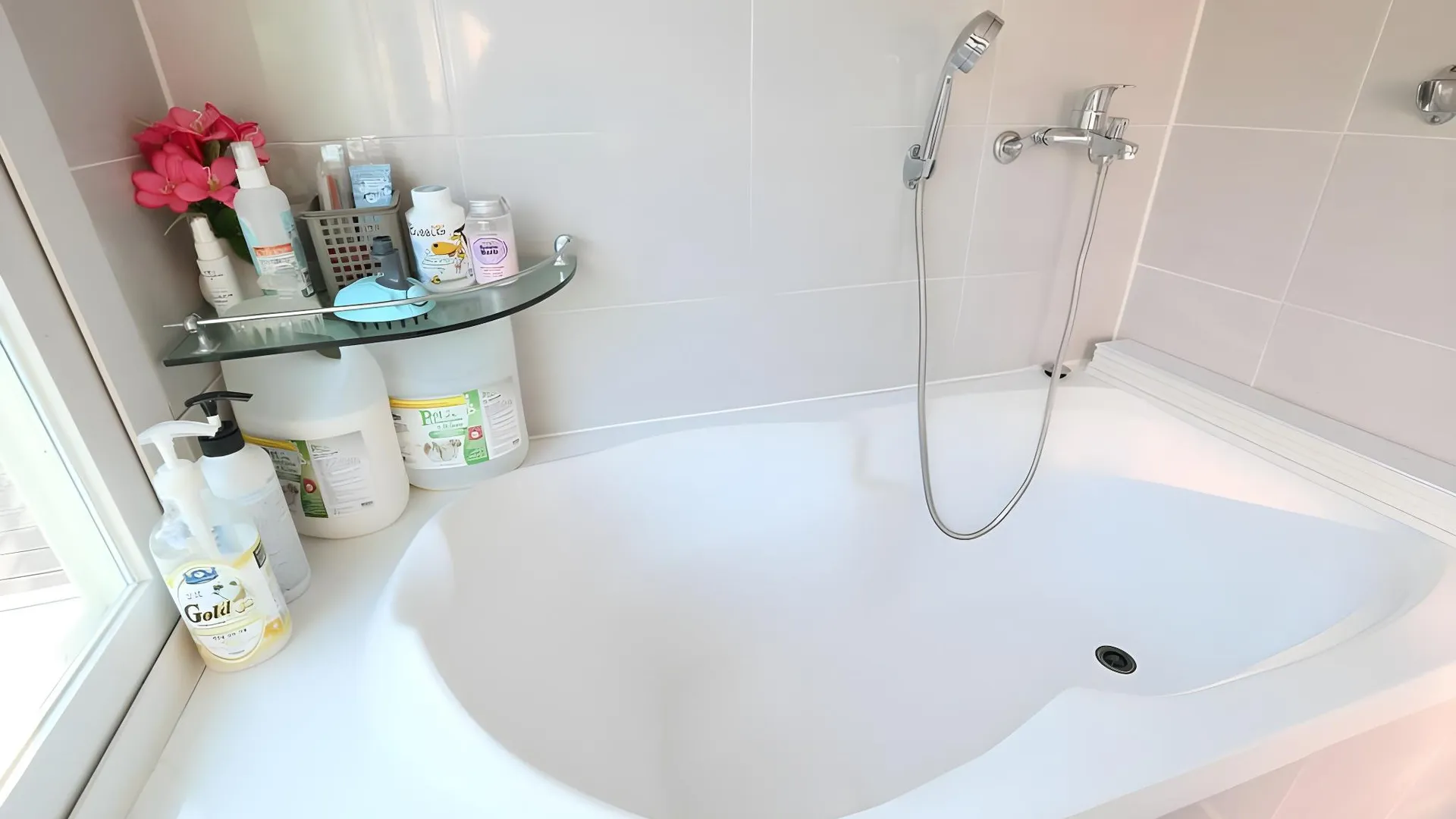 강릉 파인힐 애견 펜션 1성급 게스트하우스 레스토랑