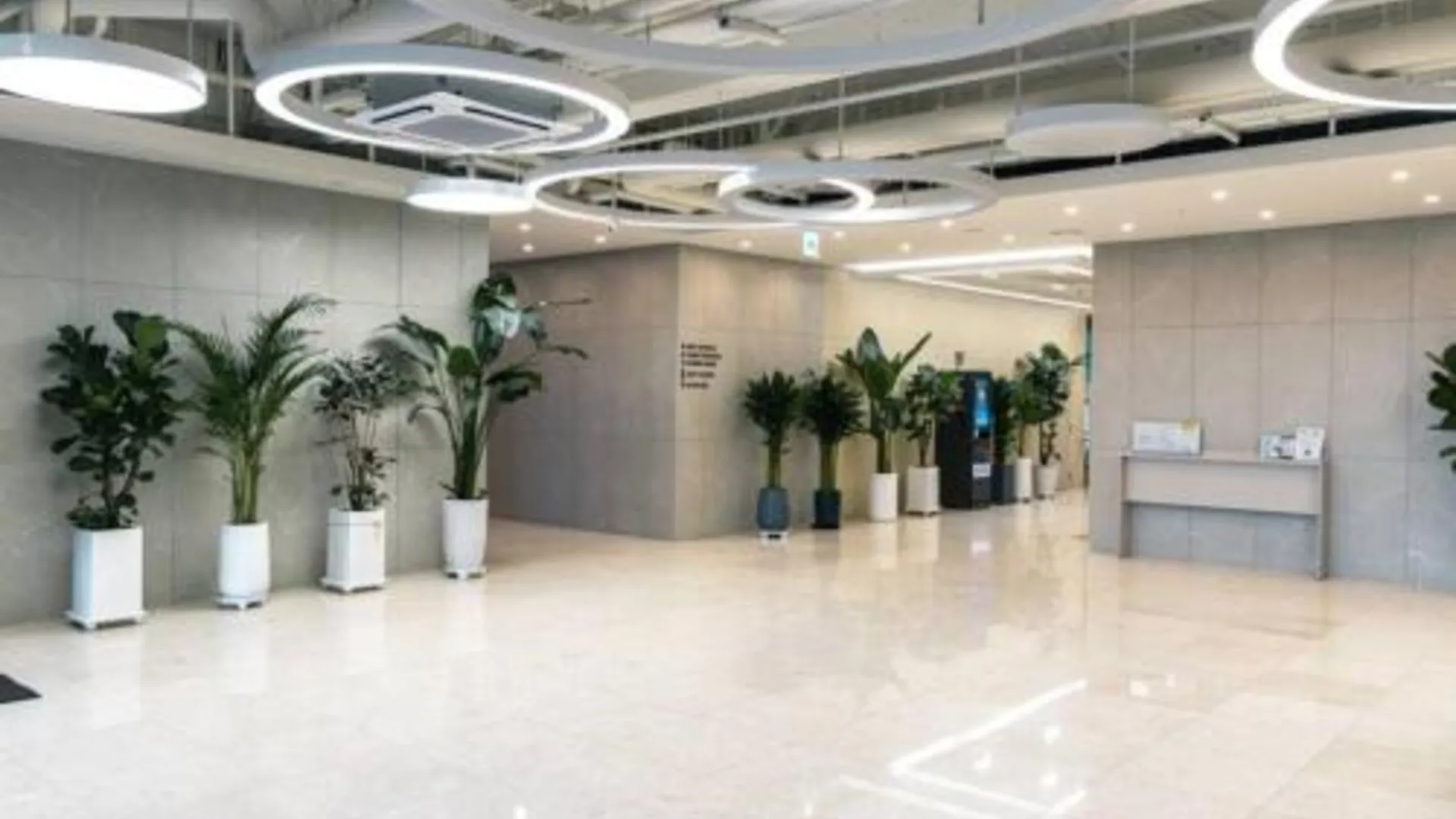 서울 The Raffinato Hotel Residece at Myeongdong 호텔 레스토랑