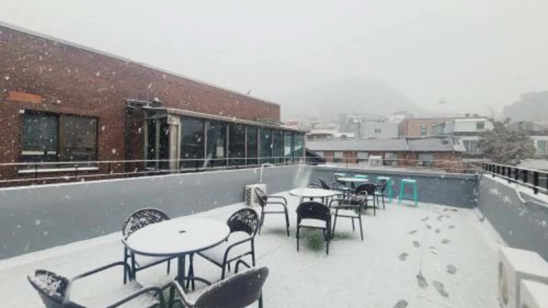 서울 올리브 호스텔 명동점 2성급 호텔 로비