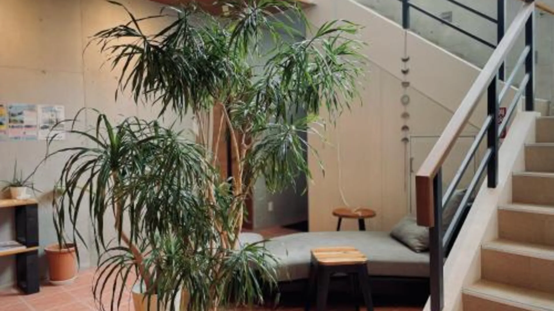 이시가키 HOSTEL SunTerrace Ishigaki 1성급 호텔 로비