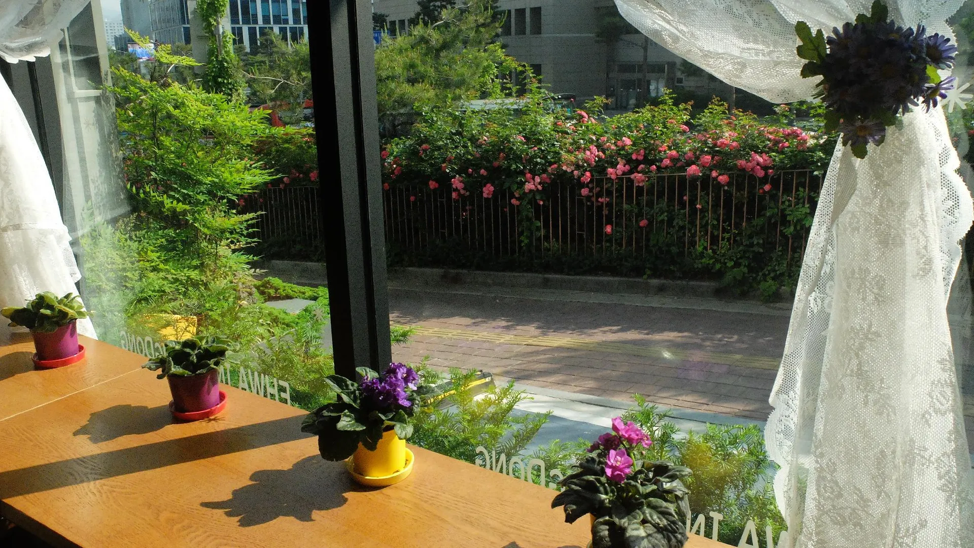 서울 이화 인 명동 2성급 호텔 객실