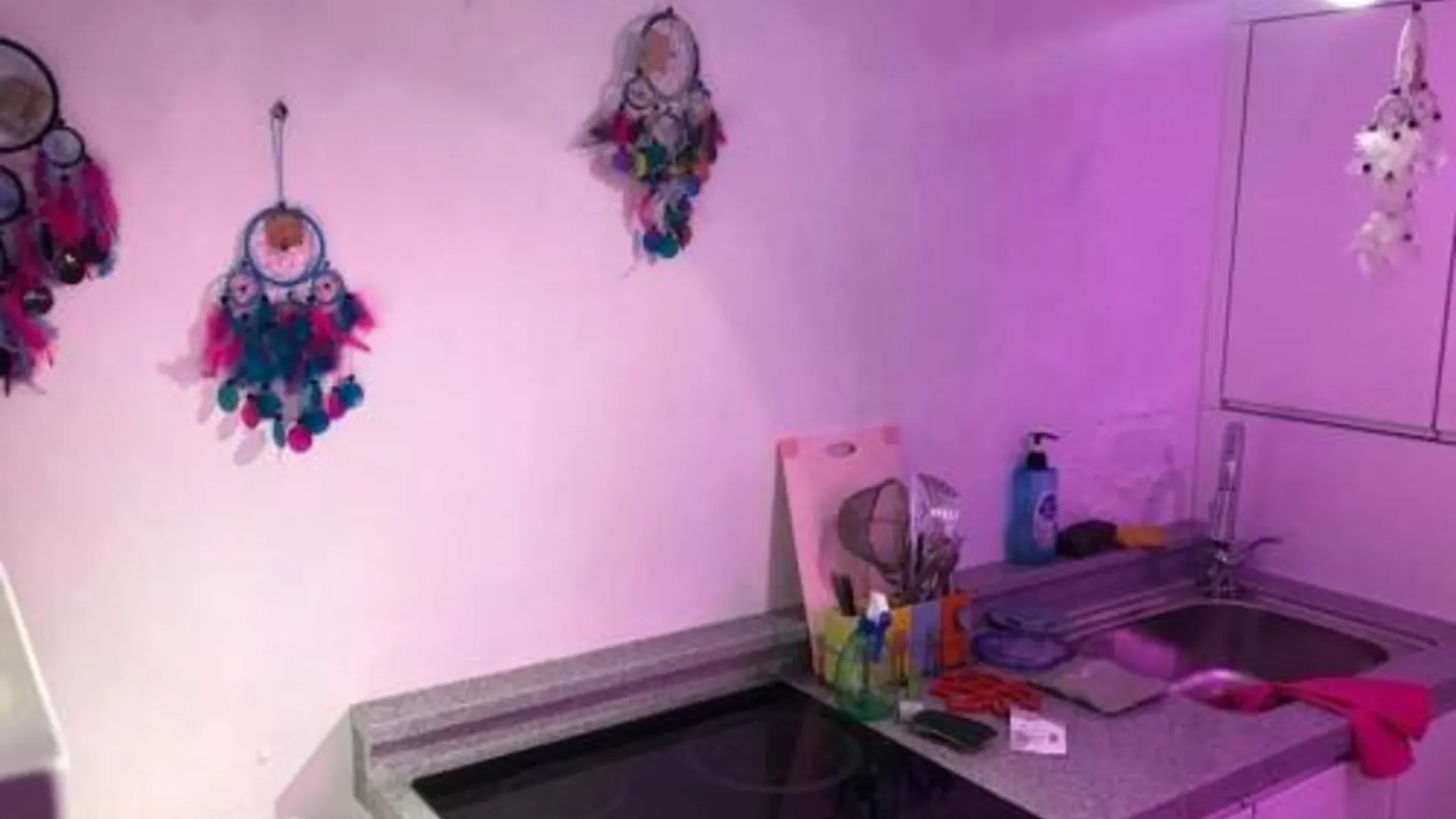 서울 스프링 라이트 1성급 호텔 전망