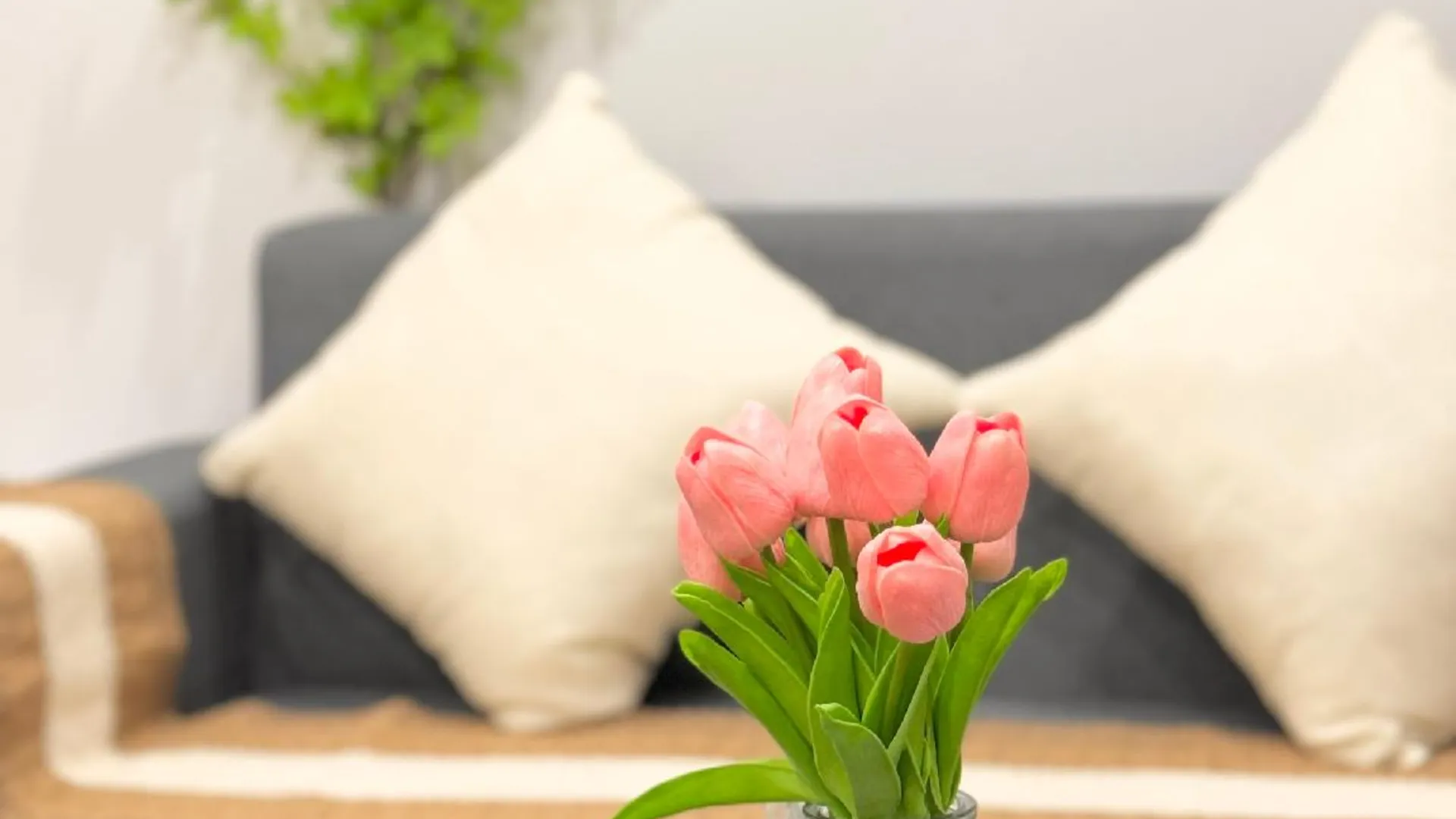 하노이 코지 홈 - 배스타브 - 컴피 바이 더 리틀 홈 4성급 게스트하우스 전망