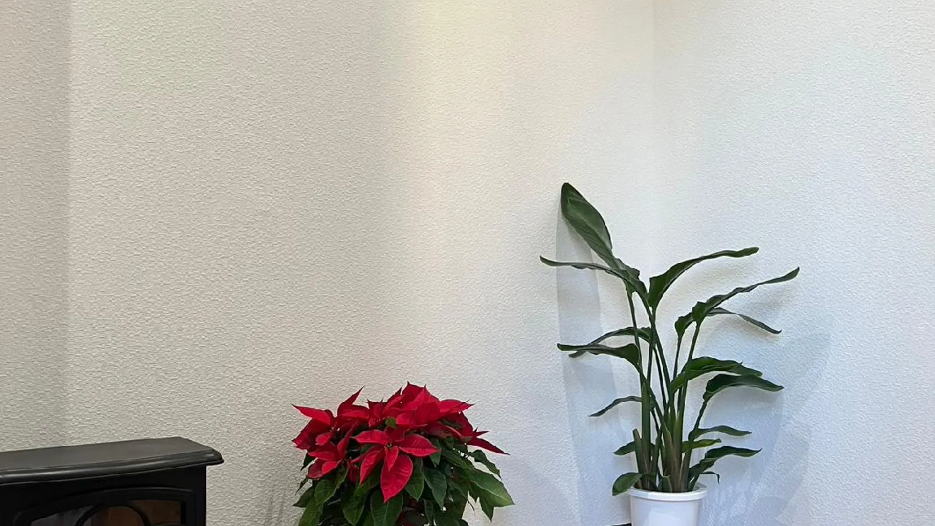 오사카 요시야 호텔 3성급 호텔 레스토랑