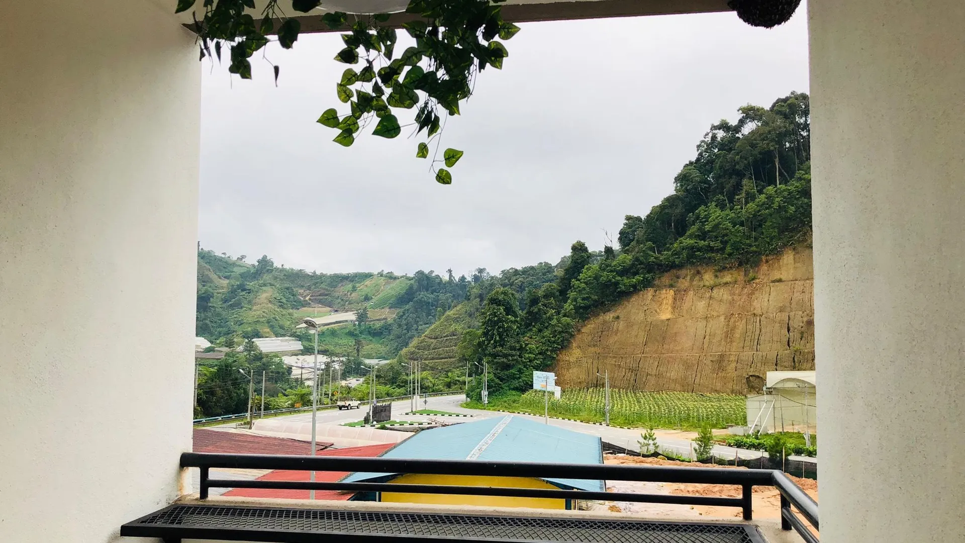 카메론 하일랜즈 Luvlee Homestay 1 2성급 싱글룸 전망