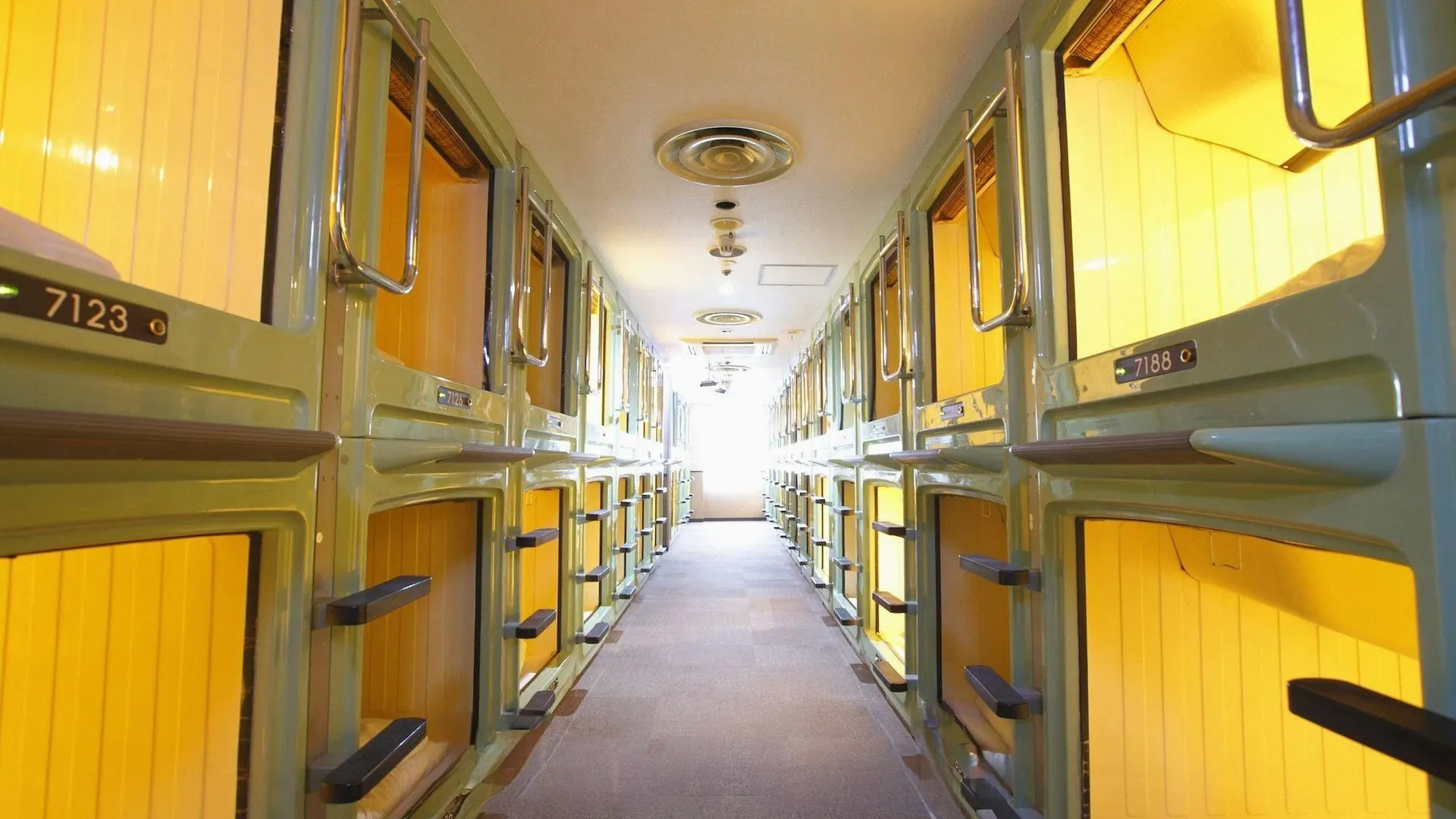 도쿄 / 동경 신주쿠 쿠야쿠쇼마에 캡슐 호텔 1성급 호텔 수영장