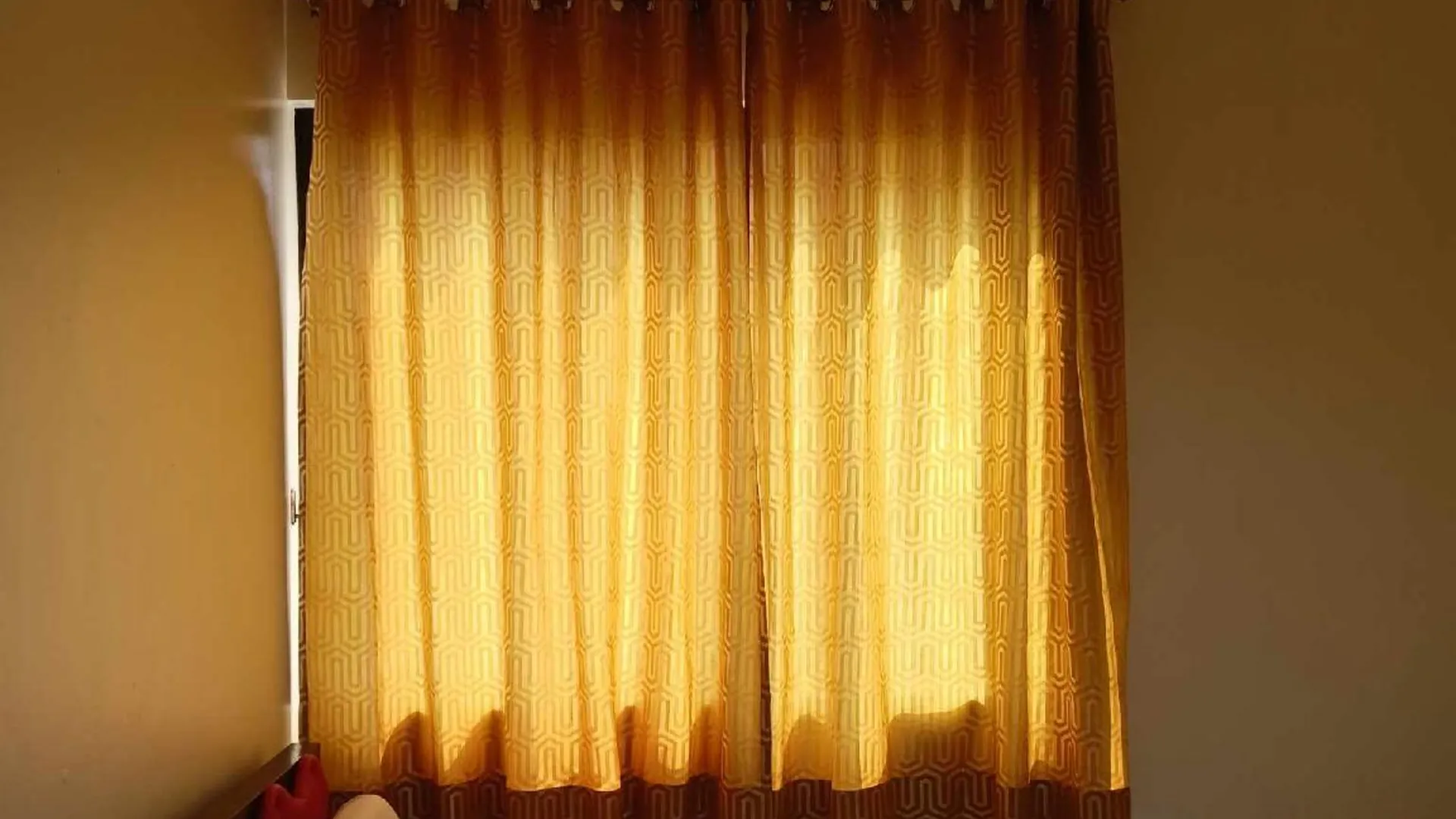 세부 세부 시티의 아파트먼트 (25m², 침실 1개, 프라이빗 욕실 1개) 1성급 싱글룸 부대시설