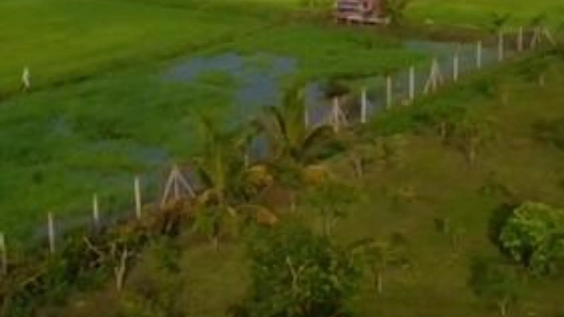 베세리 Aziqa Homestay Chalet With Pool 4성급 게스트하우스 객실