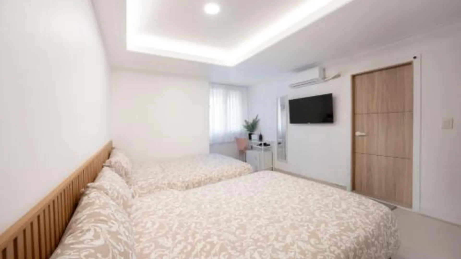 서울 서울 코지 호스텔 호텔 스위트룸