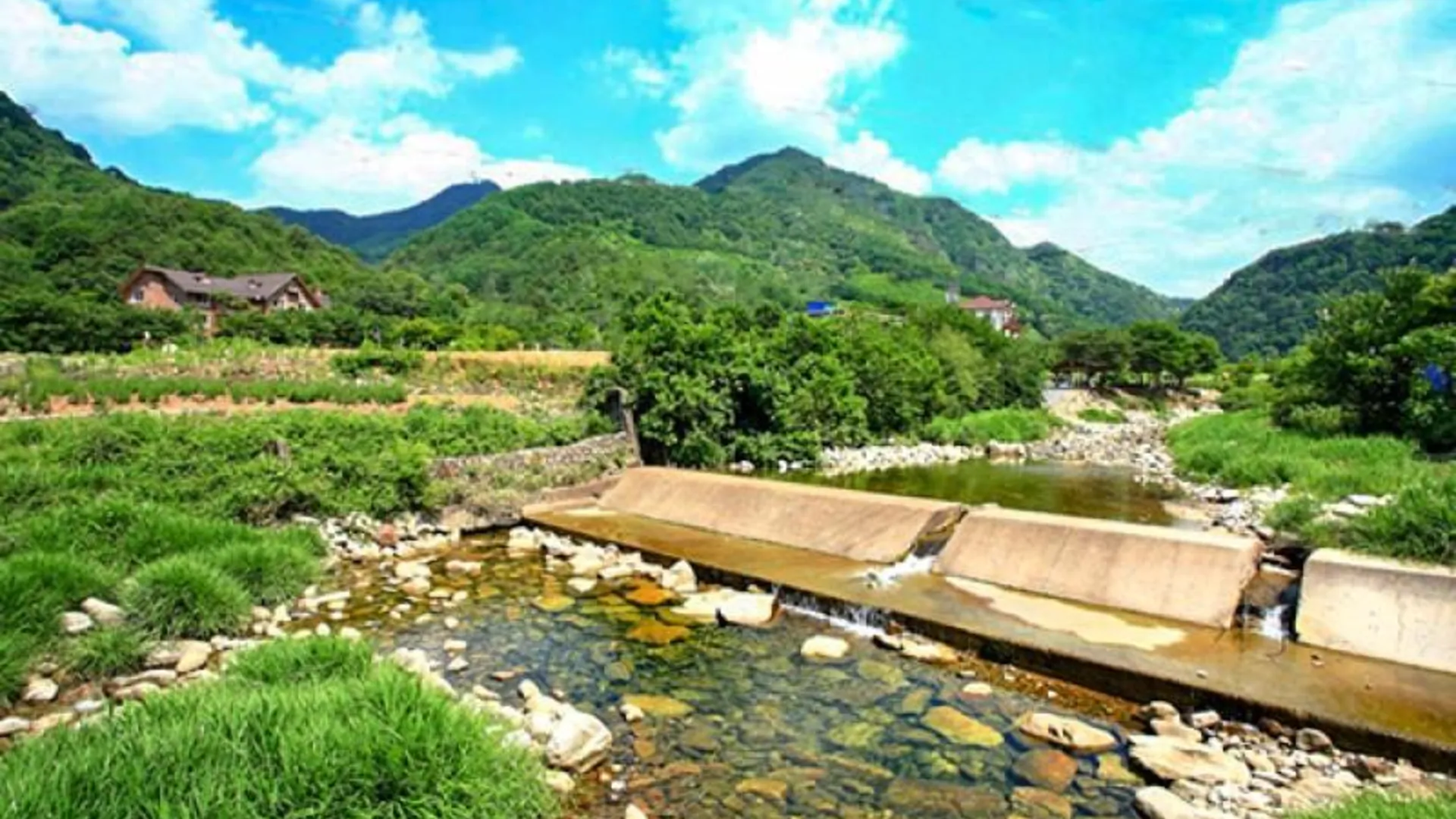 단양 단양 연화봉펜션 2성급 게스트하우스 객실