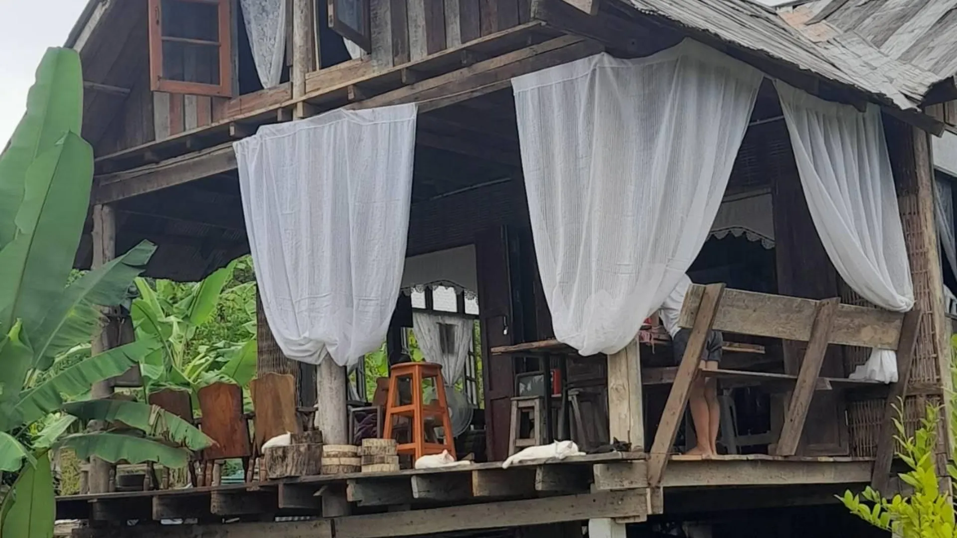 치앙라이 Bamboo Nest de Chiang Rai 2성급 싱글룸 외관