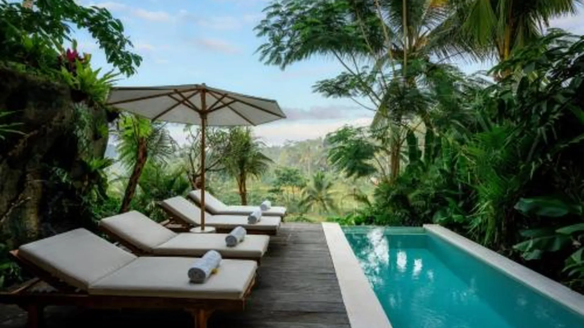 발리 밤부텔 사와 뷰 5성급 호텔 수영장