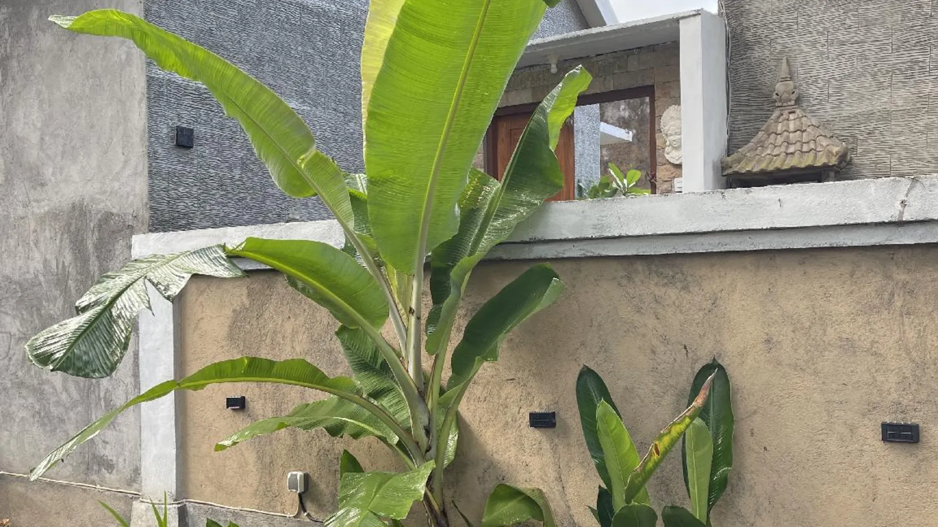 발리 싱아라자의 빌라 (200m², 침실 2개, 프라이빗 욕실 2개) 2성급 싱글룸 레스토랑