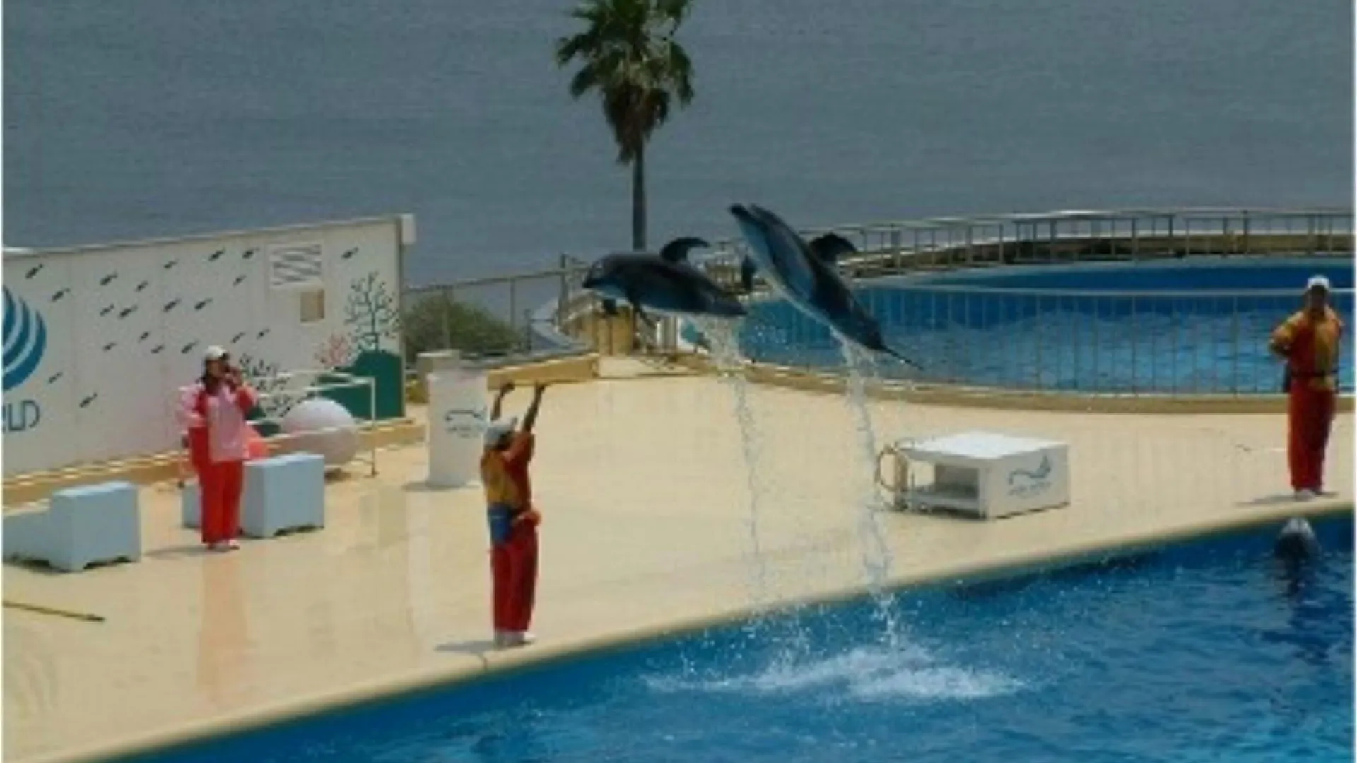 후쿠오카 헤와다이 호텔 5 3성급 호텔 부대시설