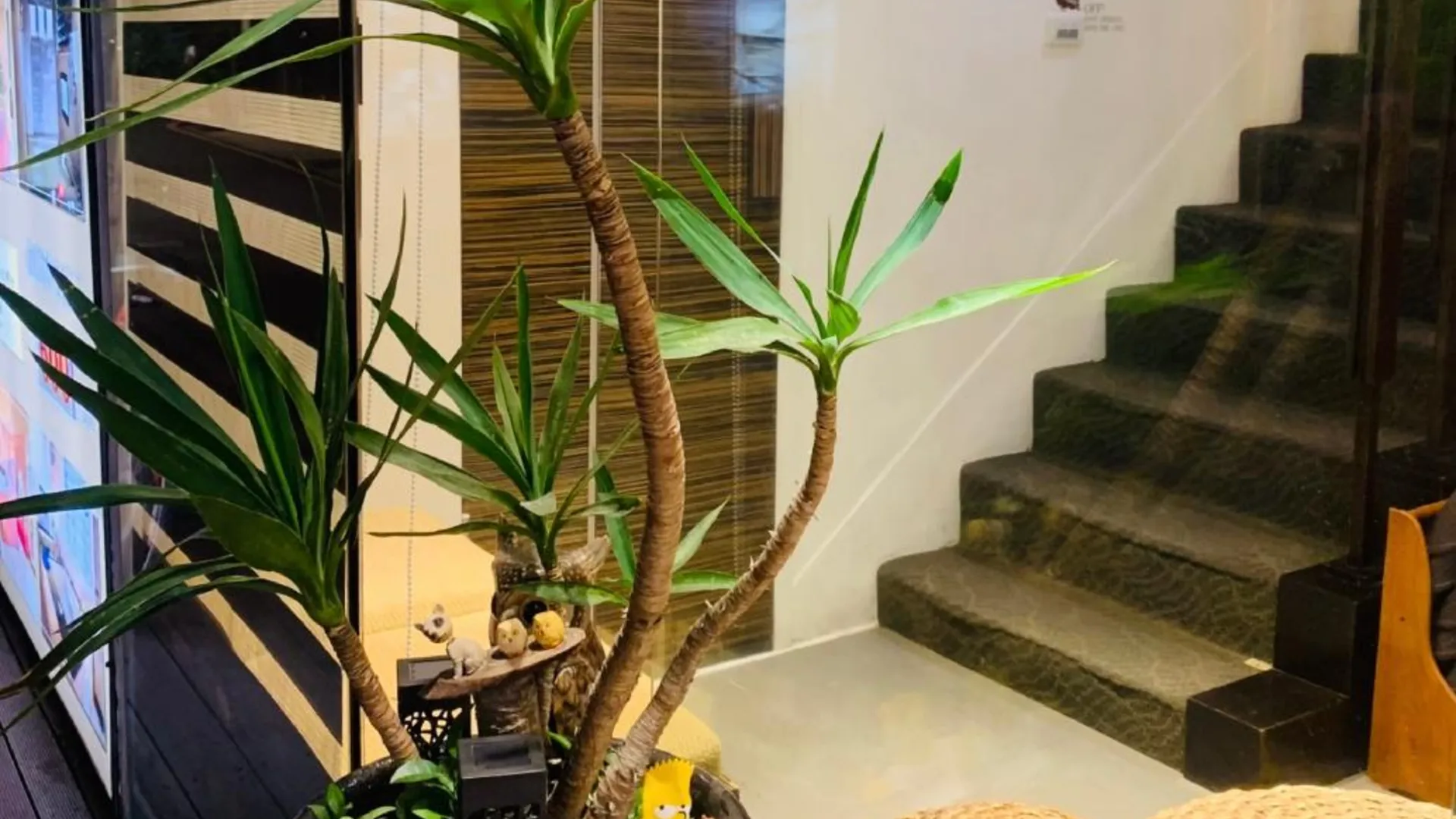 타이베이 롱문 핫 스프링 뉴 타이베이 시티 홈스테이 No. 011 3성급 게스트하우스 수영장