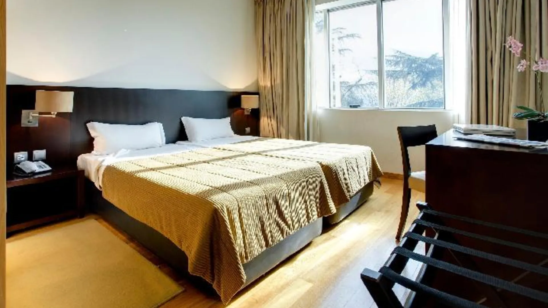 아게다 콘데 다구에다 4성급 호텔 스위트룸