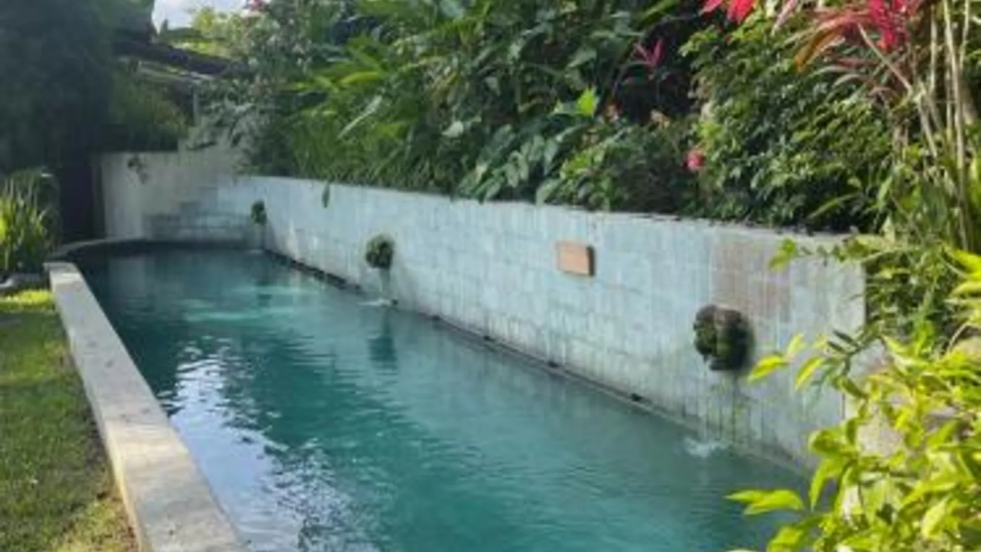 발리 Heliconia, at T house kaja 3성급 싱글룸 객실