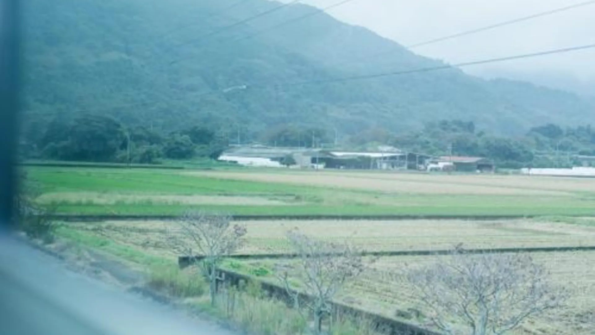 후쿠오카 Rita HOSTEL 호텔 레스토랑