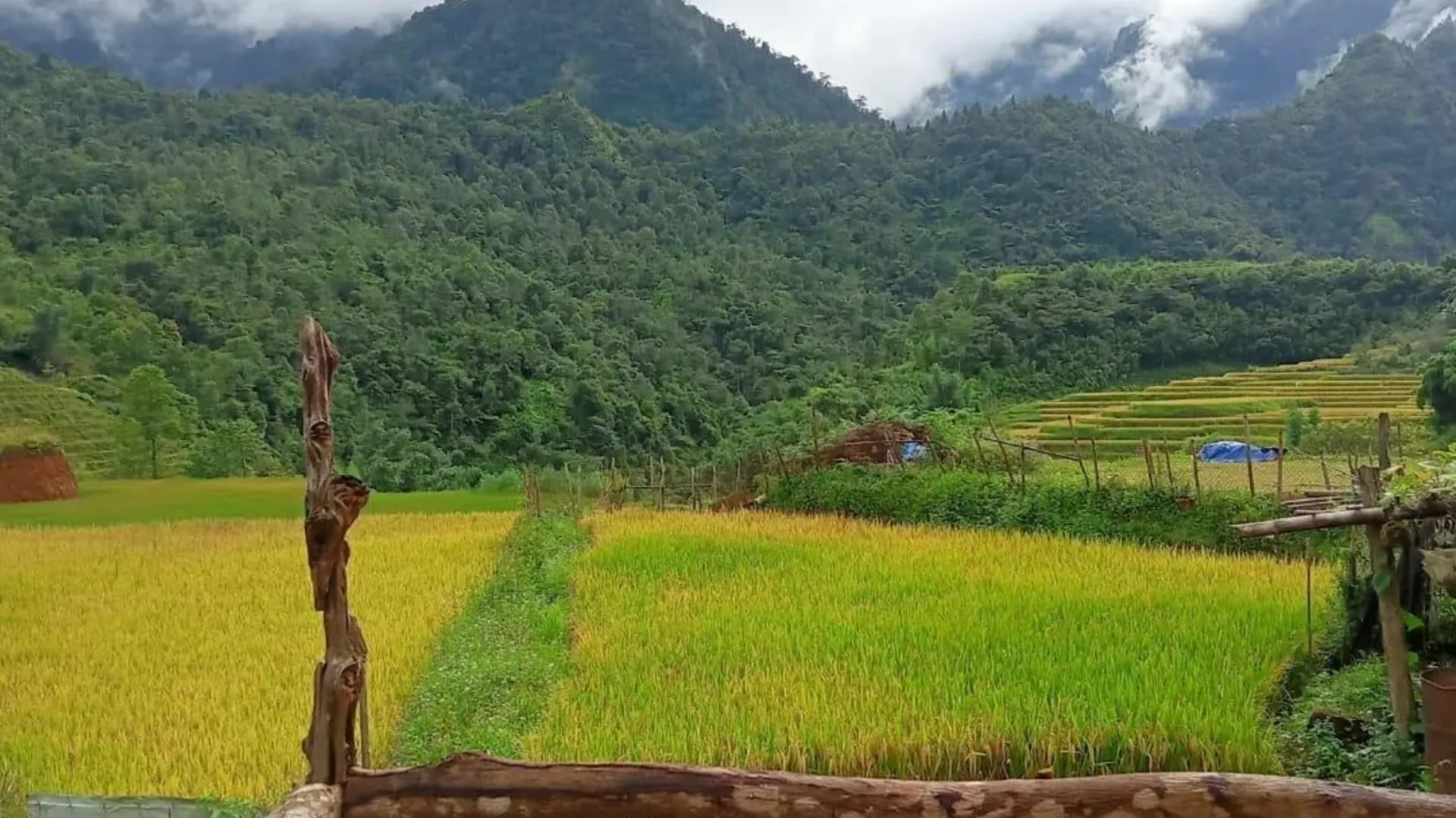 사파 사빠 도심의 방갈로 (30m², 침실 1개, 프라이빗 욕실 1개) 2성급 싱글룸 부대시설