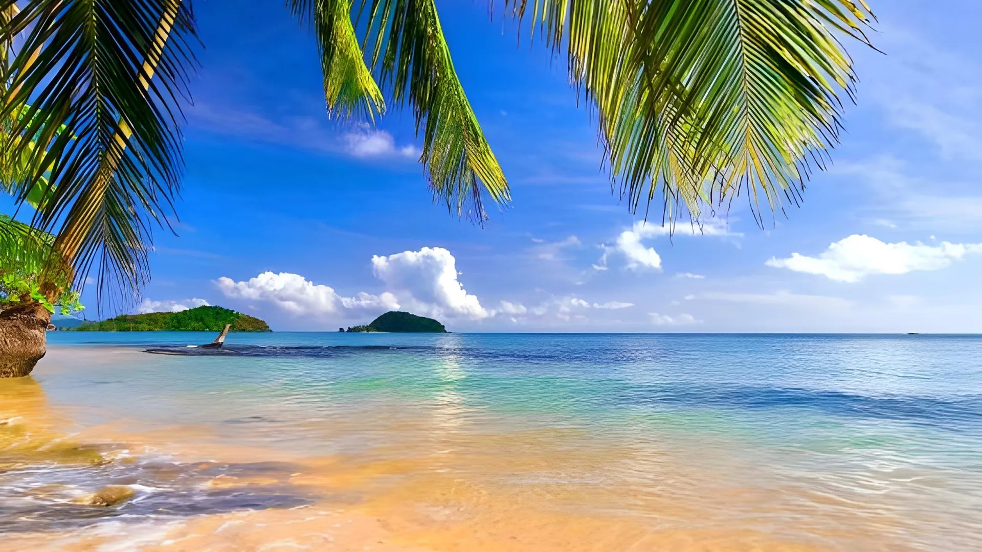 다낭 몬스 부티크 호텔 앤 아파트먼트 4성급 호텔 부대시설