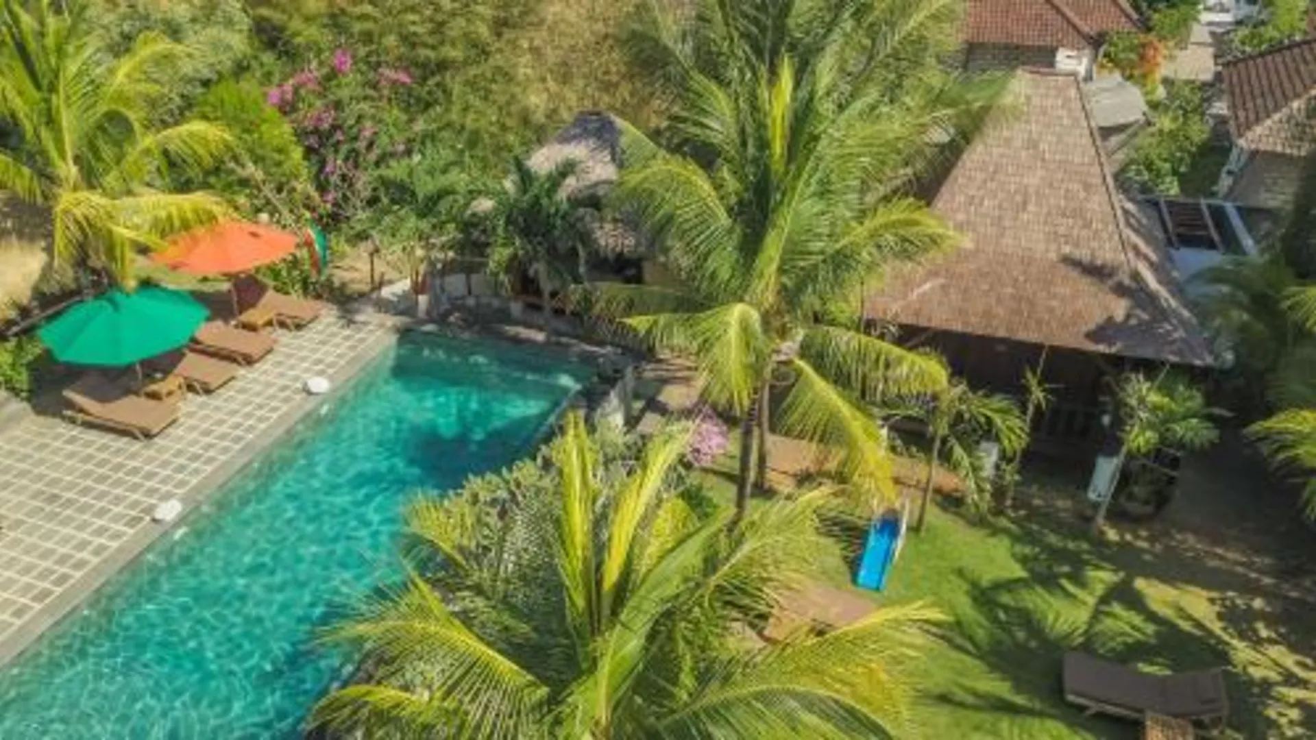 발리 플라워 버드 벙갈로 5성급 게스트하우스 수영장