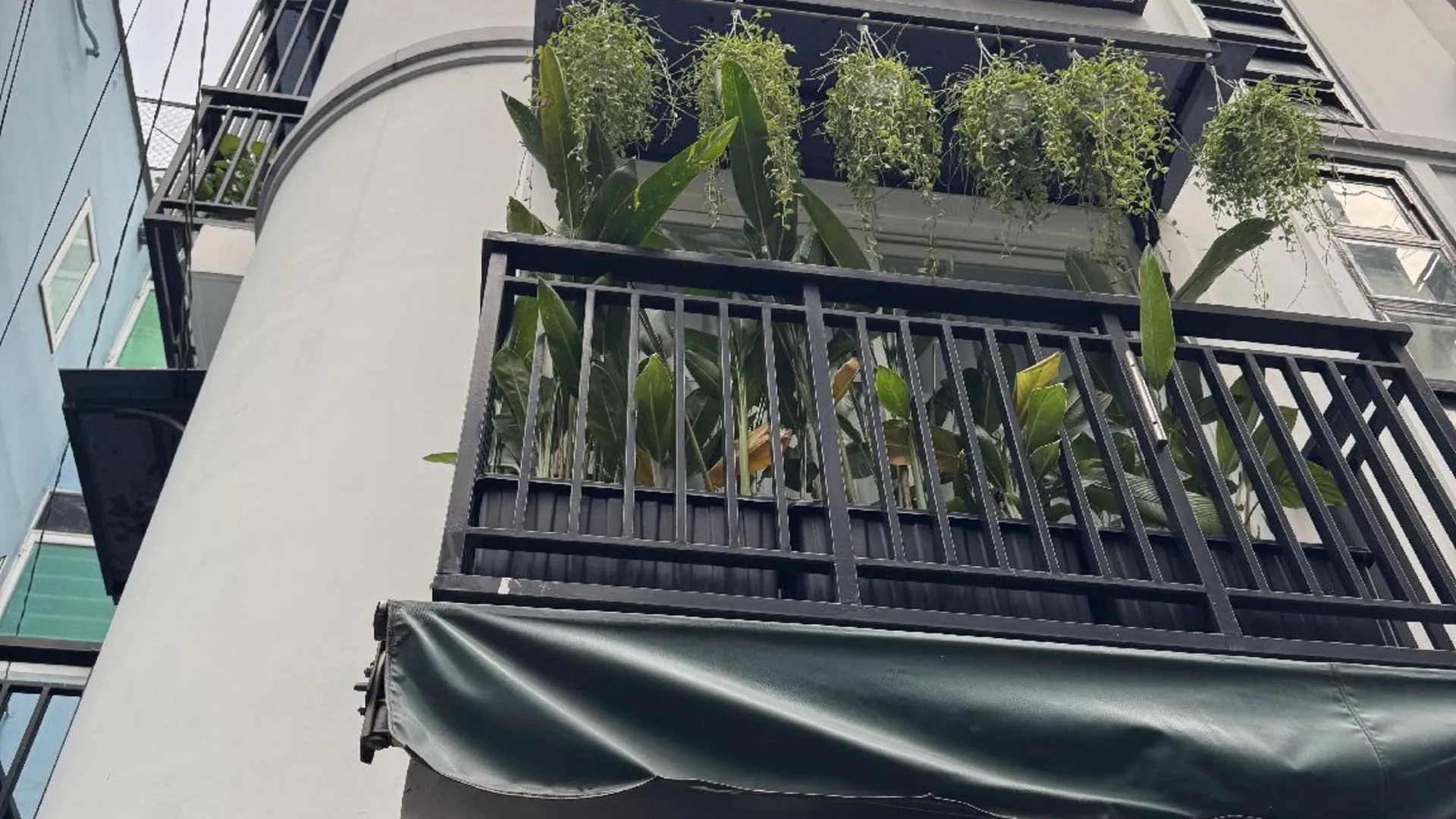 호치민 렉시스하우스 - 웜 스페이스 인 호티끼 플라워 마켓 4성급 게스트하우스 전망