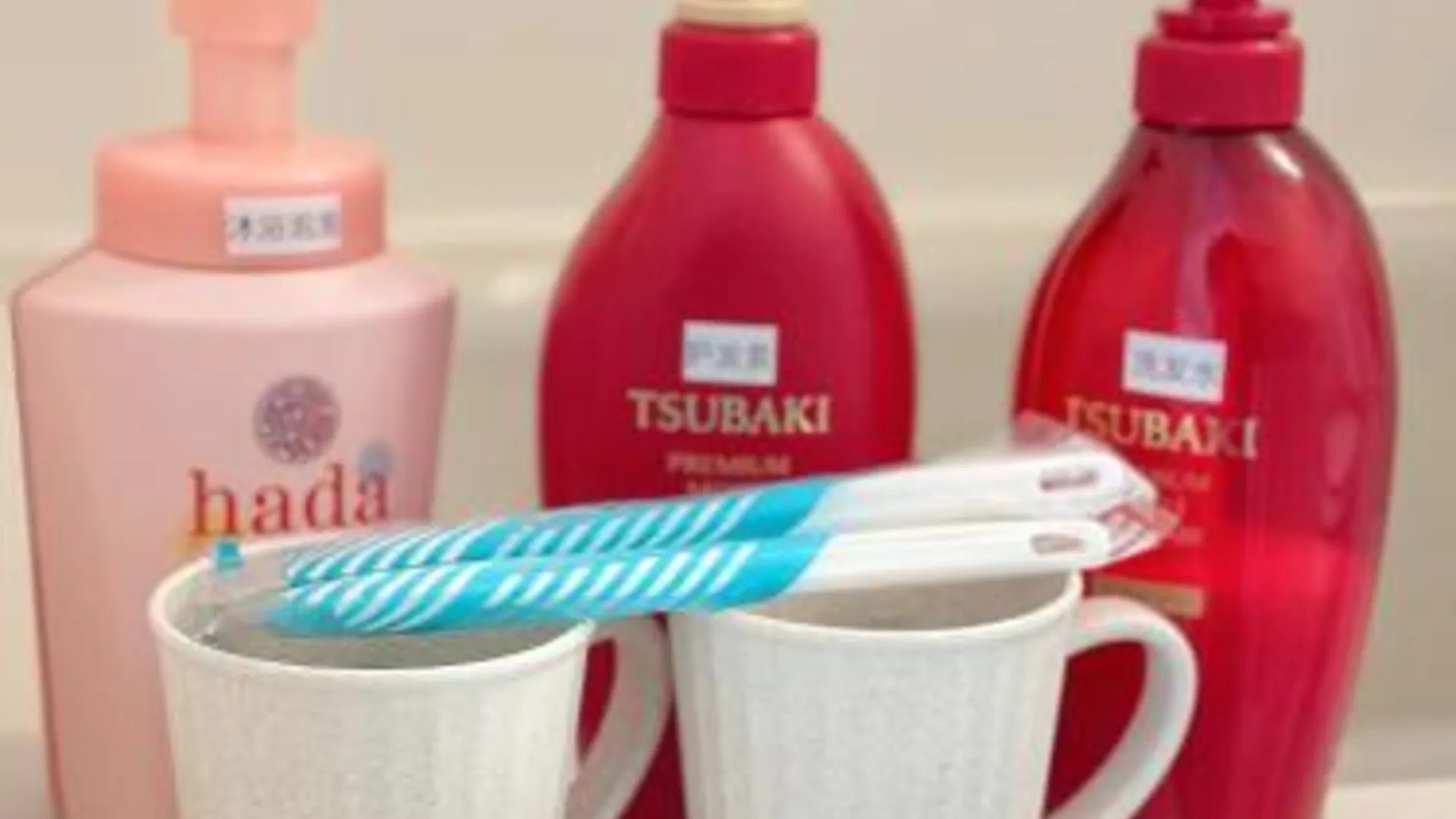 도쿄 / 동경 淺夏館Asakakan 3성급 싱글룸 부대시설