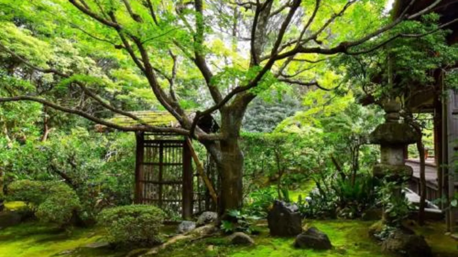 교토 교토의 프라이빗 하우스 (100m², 침실 3개, 프라이빗 욕실 2개) 5성급 싱글룸 객실