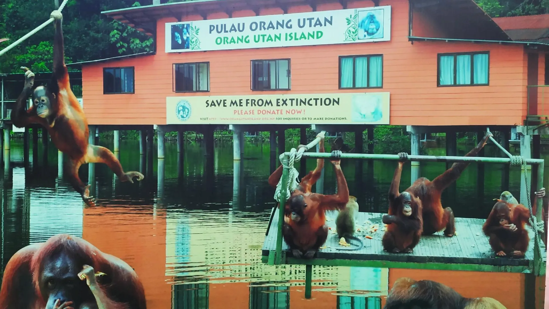 타이핑 부킷 메라의 아파트먼트 (50m², 침실 2개, 프라이빗 욕실 2개) 2성급 싱글룸 수영장