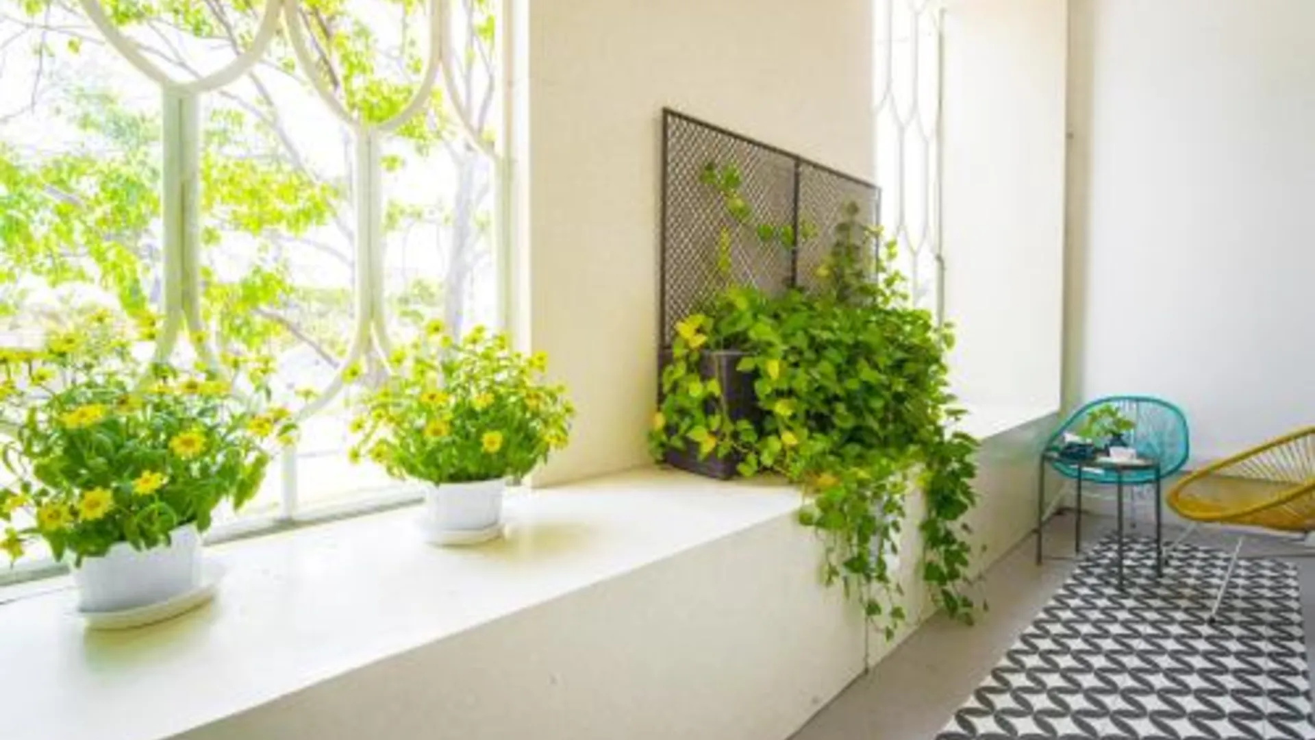 다낭 선시티 호텔 다낭 2성급 호텔 객실