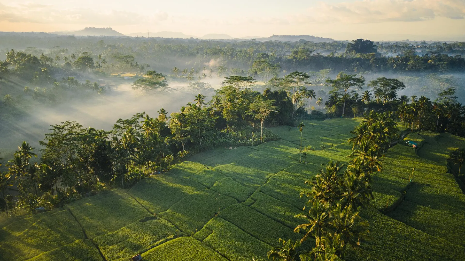 발리 우붓 마스 글램핑 럭셔리 텐트 5성급 호텔 객실