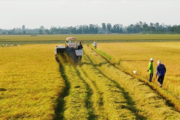 Giá đền bù đất trồng lúa khi thu hồi năm 2023 là bao nhiêu?