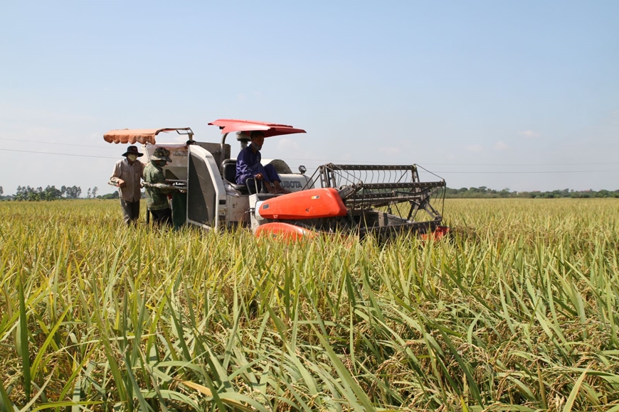 Phải có xác nhận nông dân mới được thừa kế đất nông nghiệp phải không?