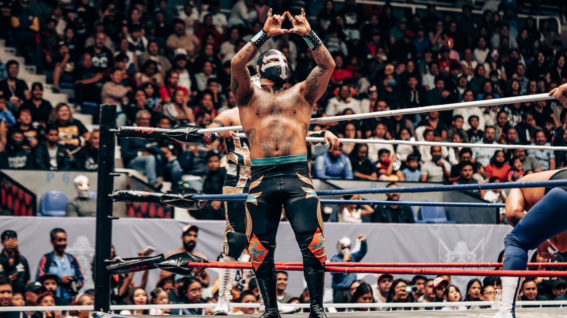 How Professional Wrestling Matches Are Planned and Performed