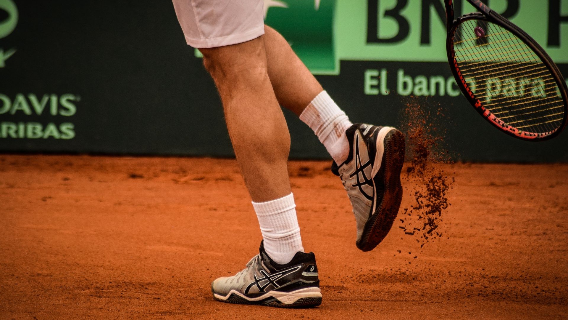 Hard Court Specialists Continue to Dominate the Professional Tour