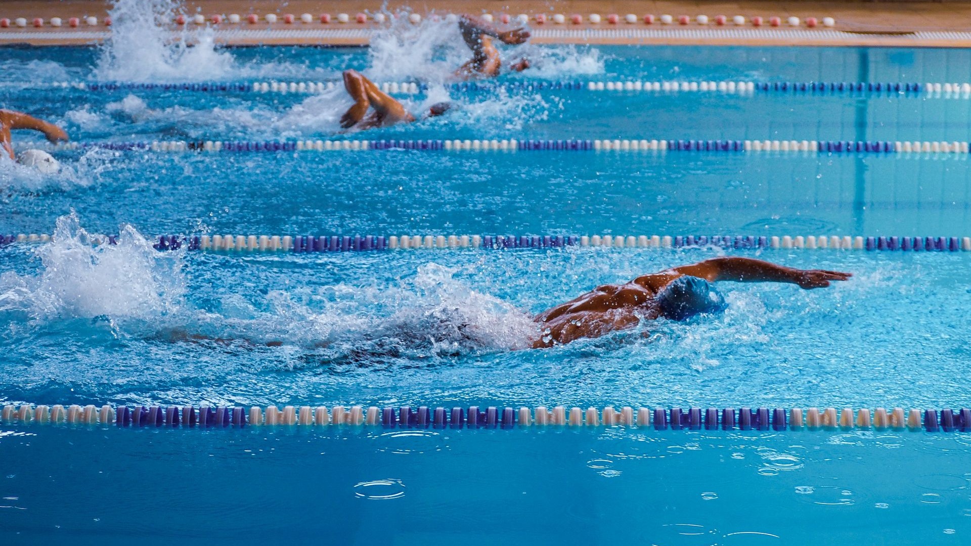 How Professional Swimmers Train for International Competitions