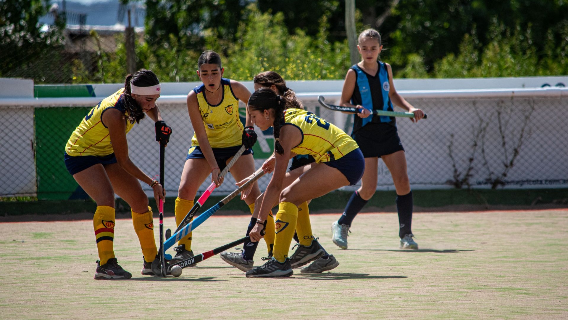 Endurance Training in Professional Hockey