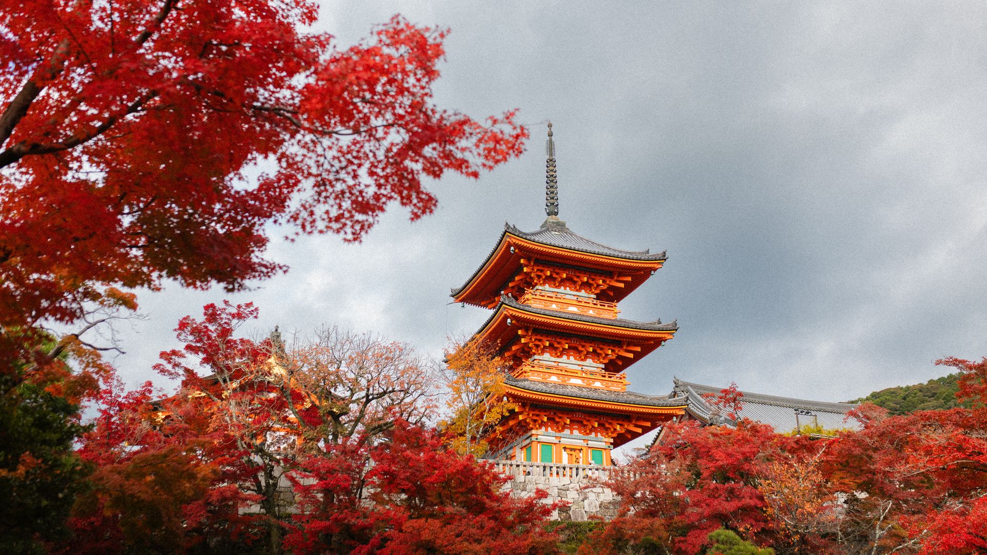 Japan Tourism Reaches New High as Record Visitor Numbers Boost Economy and Local Businesses