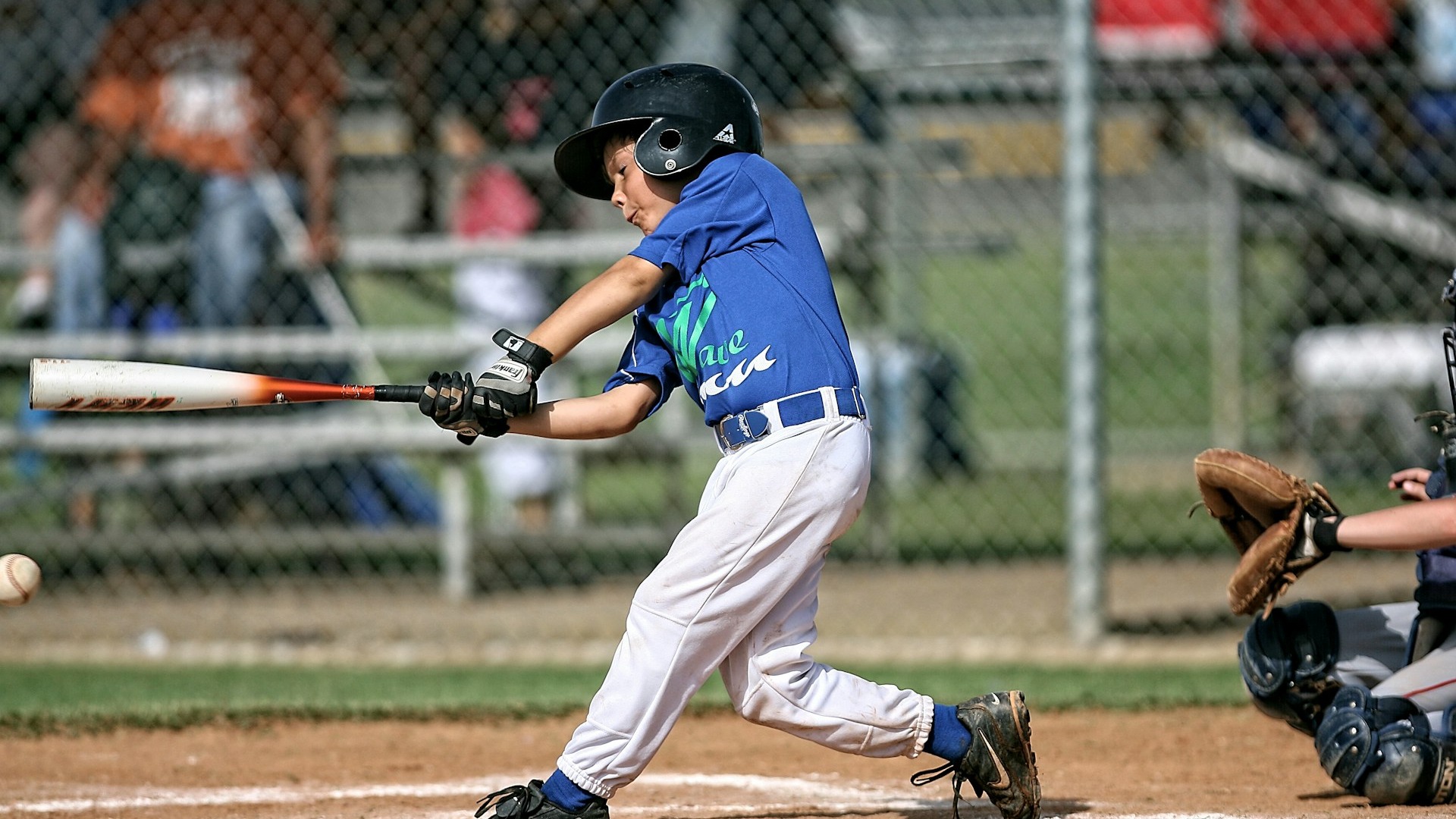 Youth Baseball Academies Expand Across Asia and Latin America